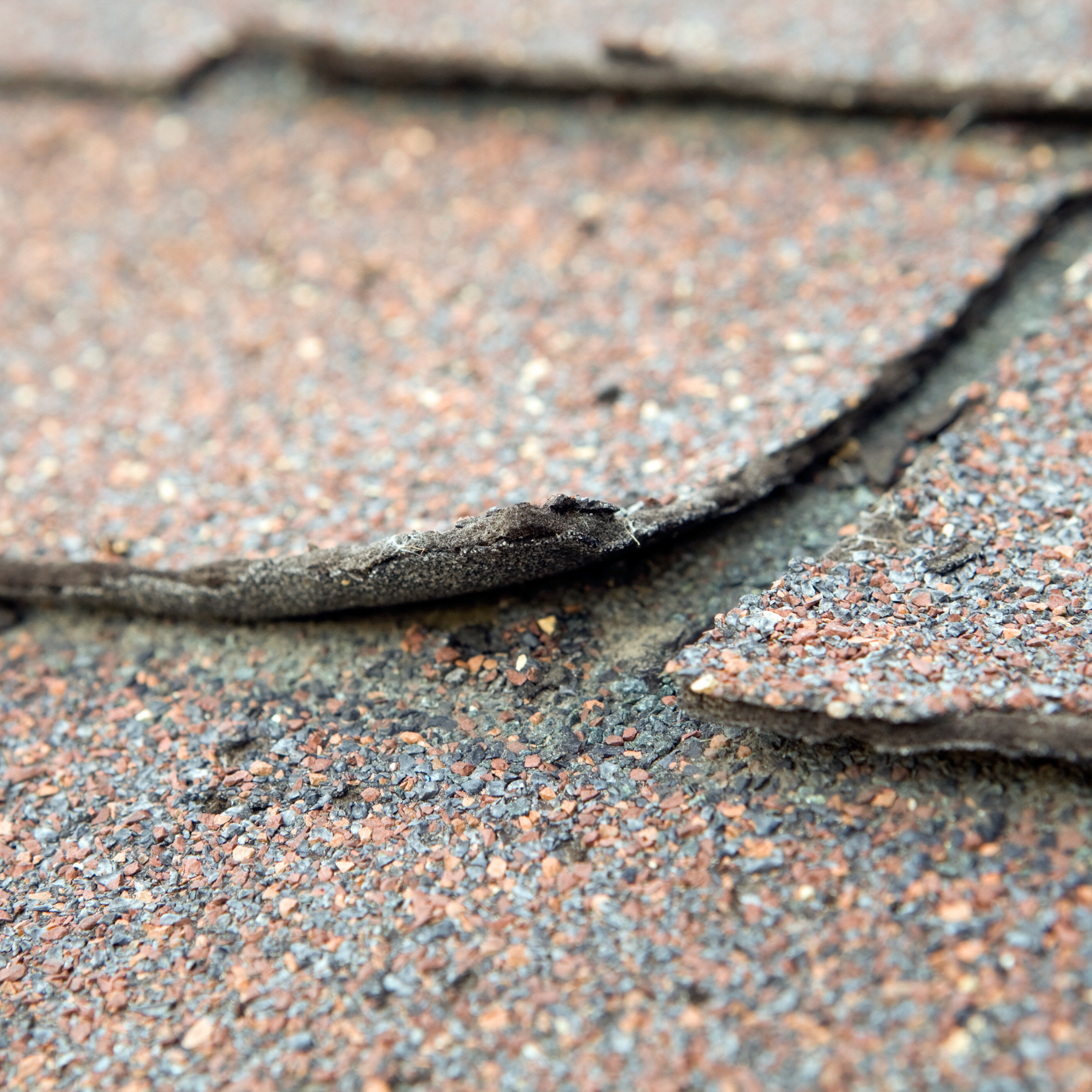 Lifted roof shingles caused by poor roof installation in the DMV area
