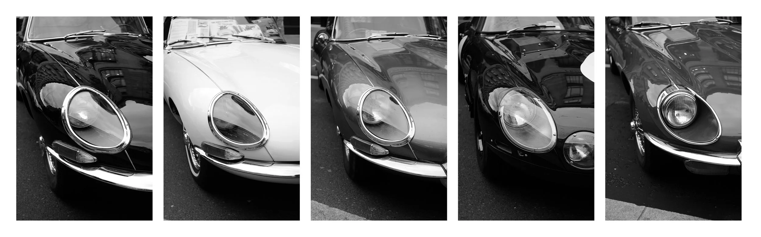 Jag Horizontal copy.JPG