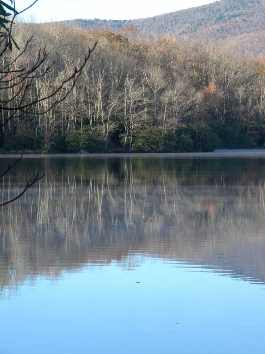 67704_452635614603_1349434_n_452635614603.jpg
