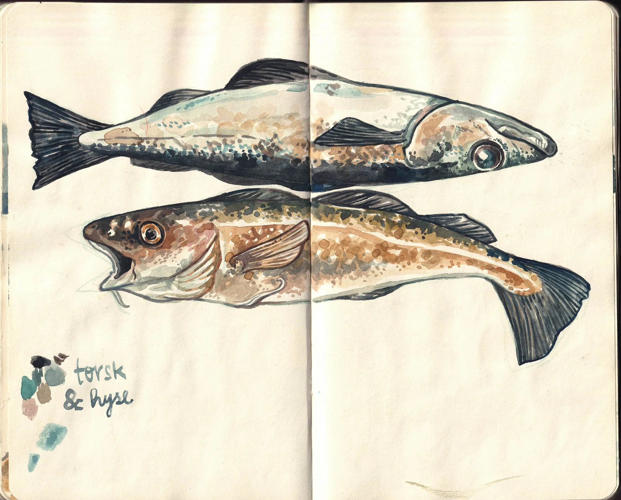 pink sketchbook 7.jpg