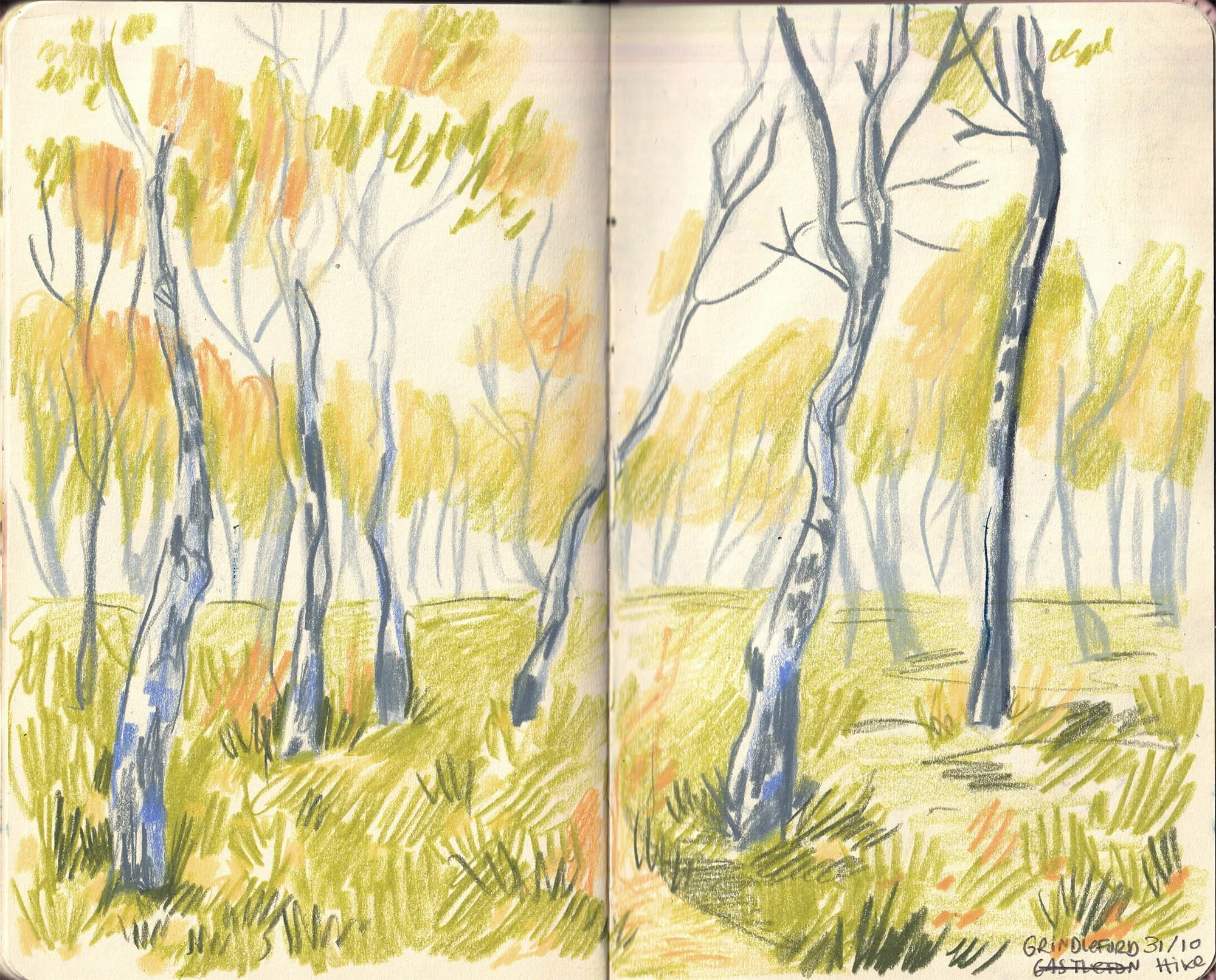 pink sketchbook 14.jpg