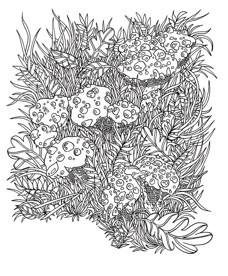 Devils Tooth web.jpg