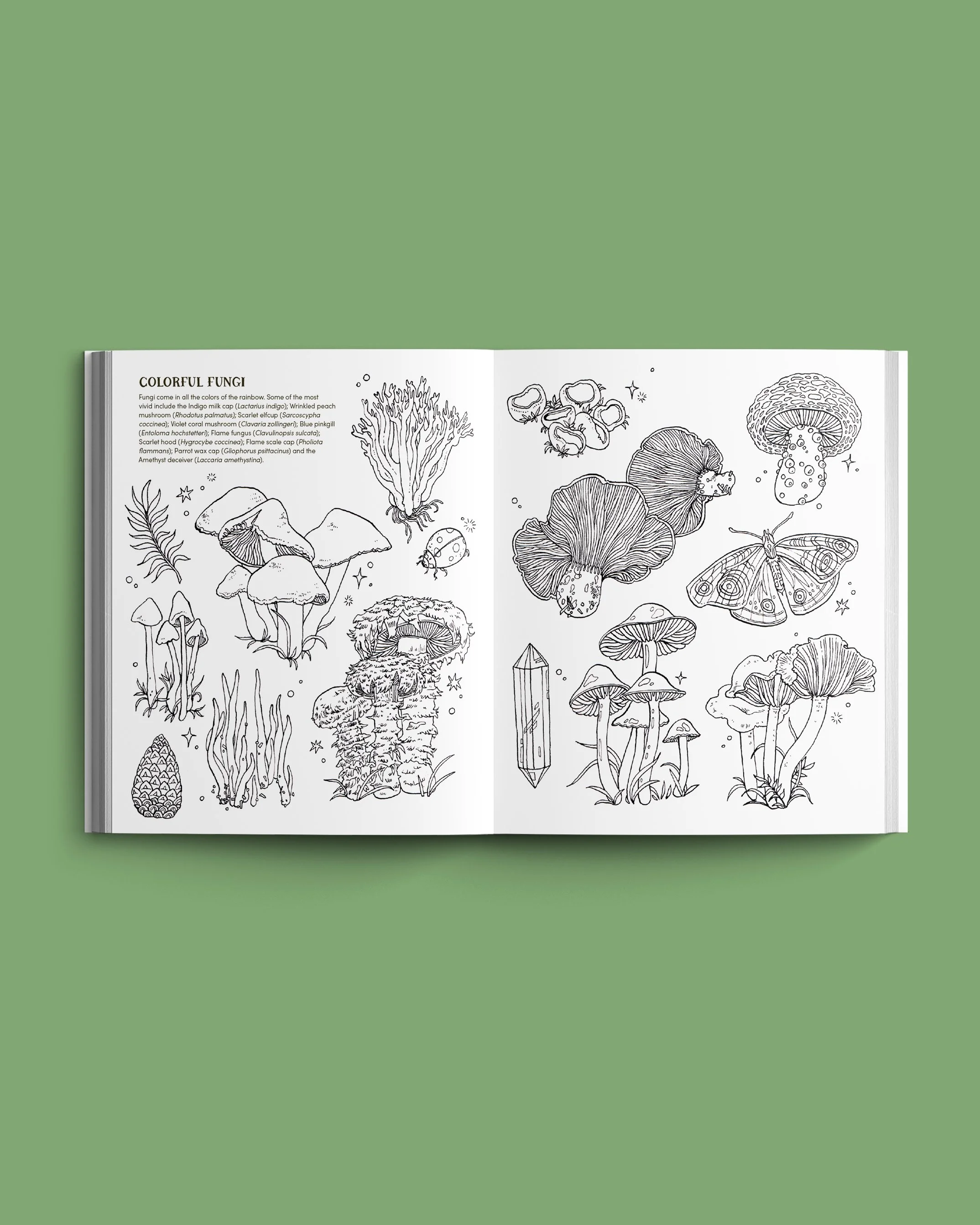 Into the Fungarium Spread mockup.jpg