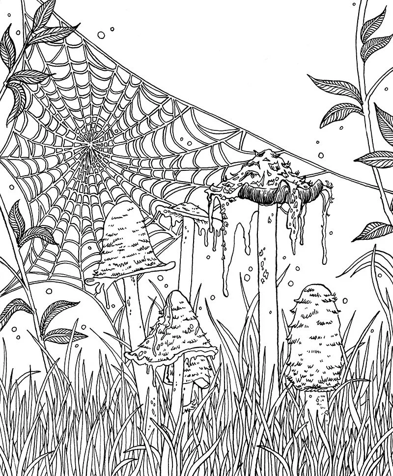 Shaggy Inkcap final.jpg