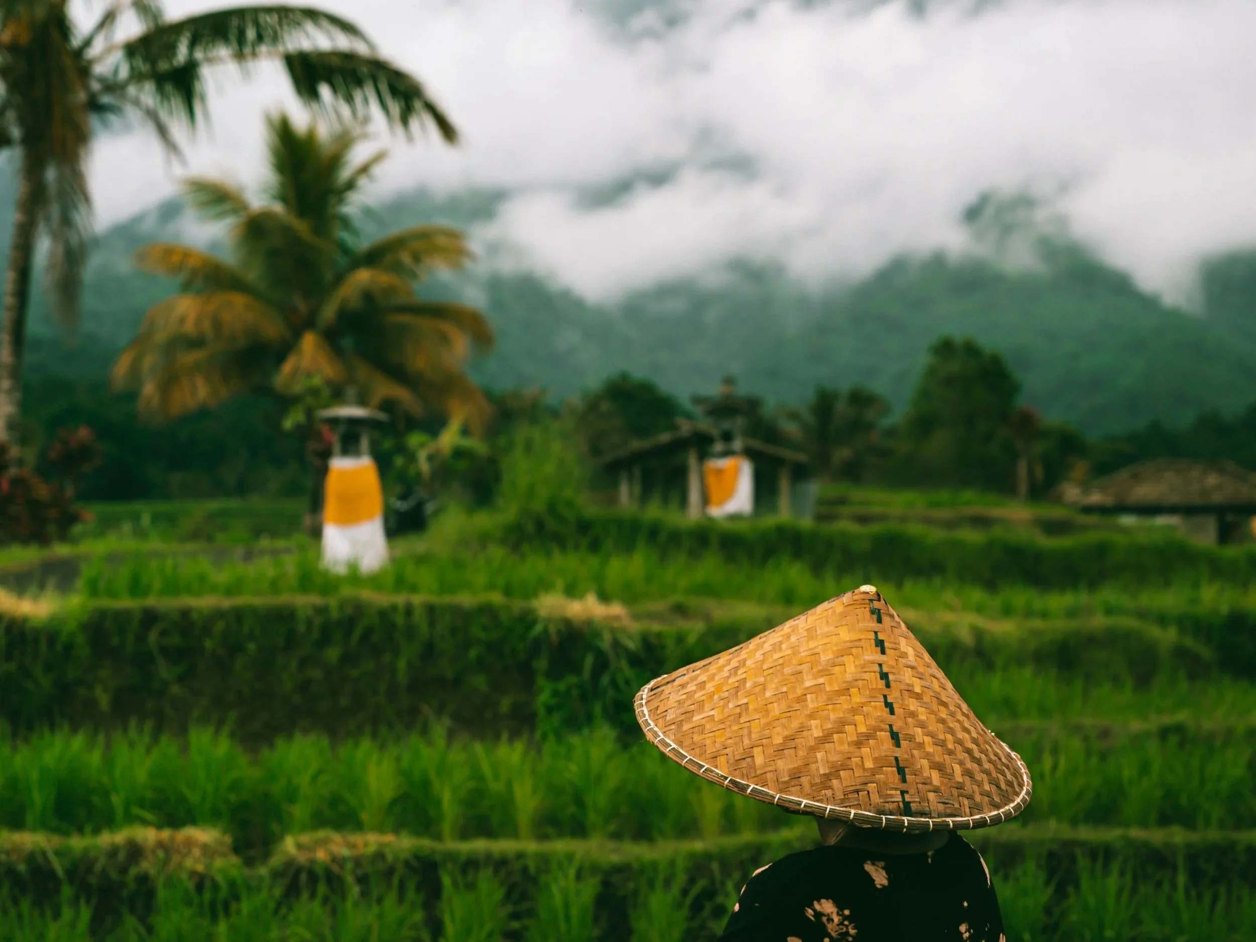 Bali and Indonesia in Numbers