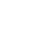 Feminist Art Making Histories