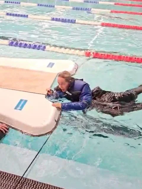 Lokakuun meiningit💦💦 Pikku Delfiinien Kata Tallinnassa Suomen uimaopetus- ja hengenpelastusliiton kouluttajaseminaarissa: tietoa, taitoja ja treeniä!🐬🐬
Pikku Delfiinit Center Keilaniemi Espooseen saapunut erä toppapukuja, joita osa ryh