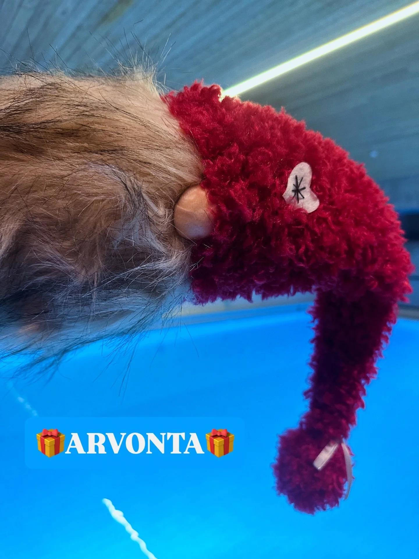 Pikku Delfiinien tontun arvonta💭💭✨🎁❤️

Arvomme nelj&auml; tuotepakettia✨Jokainen paketti sis&auml;lt&auml;&auml; yhden uimapuvun 70/80/90cm sek&auml; lasten uimalasit✨

👉Kommentoi alle sinun joulu/talviemoji tykk&auml;&auml; postauksesta ja olet 