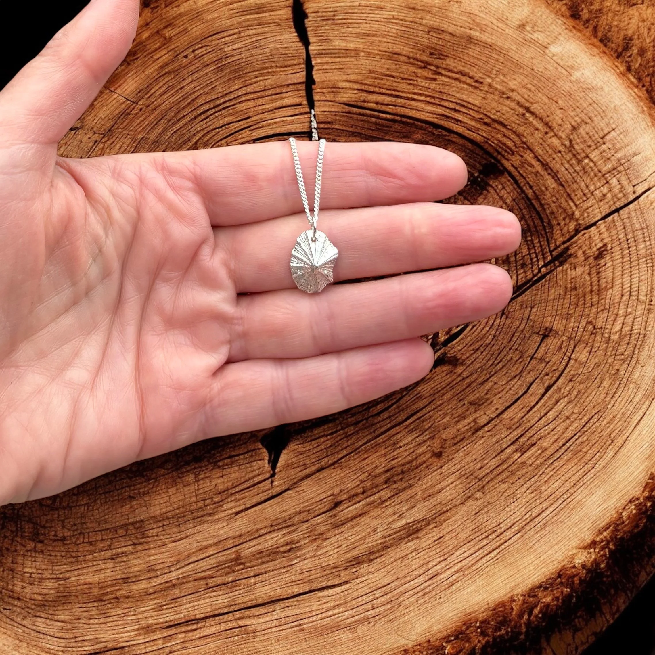 Close-up of a silver necklace with a Limpet pendant, held against a cross-section of wood showing tree rings.