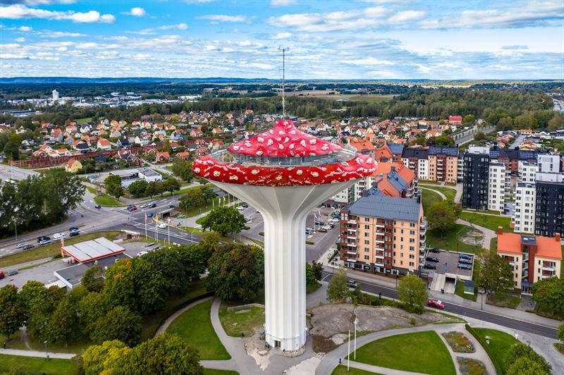 Örebrosvampen målas om till flugsvamp