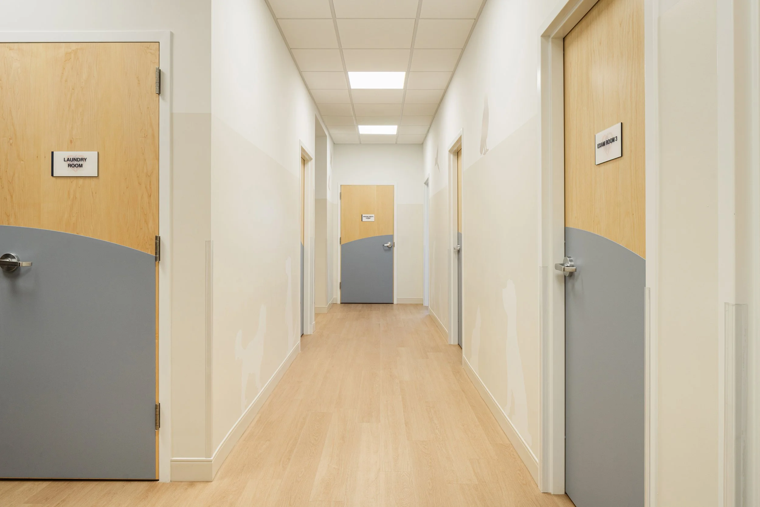 Sawgrass Veterinary Cardiology Hallway