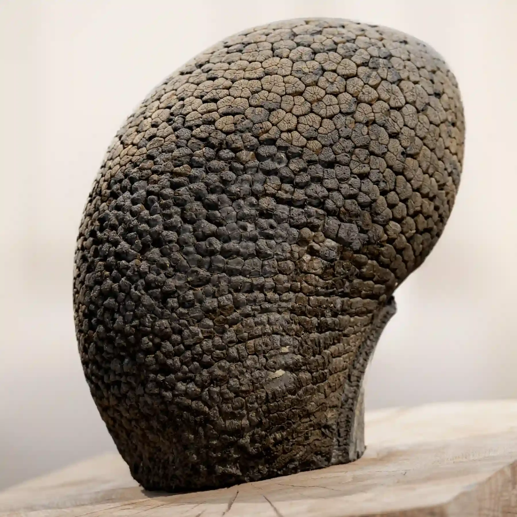 Markus Vallien betongkonst på Ronneby konsthall