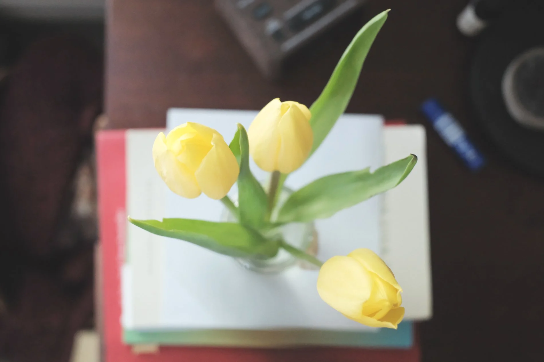 yellow tulips on bedside table