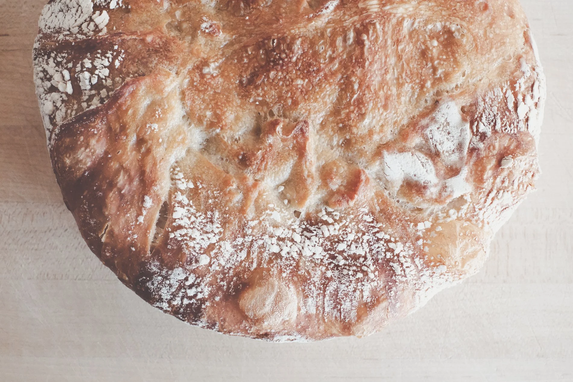 round loaf of bread with flour on crust