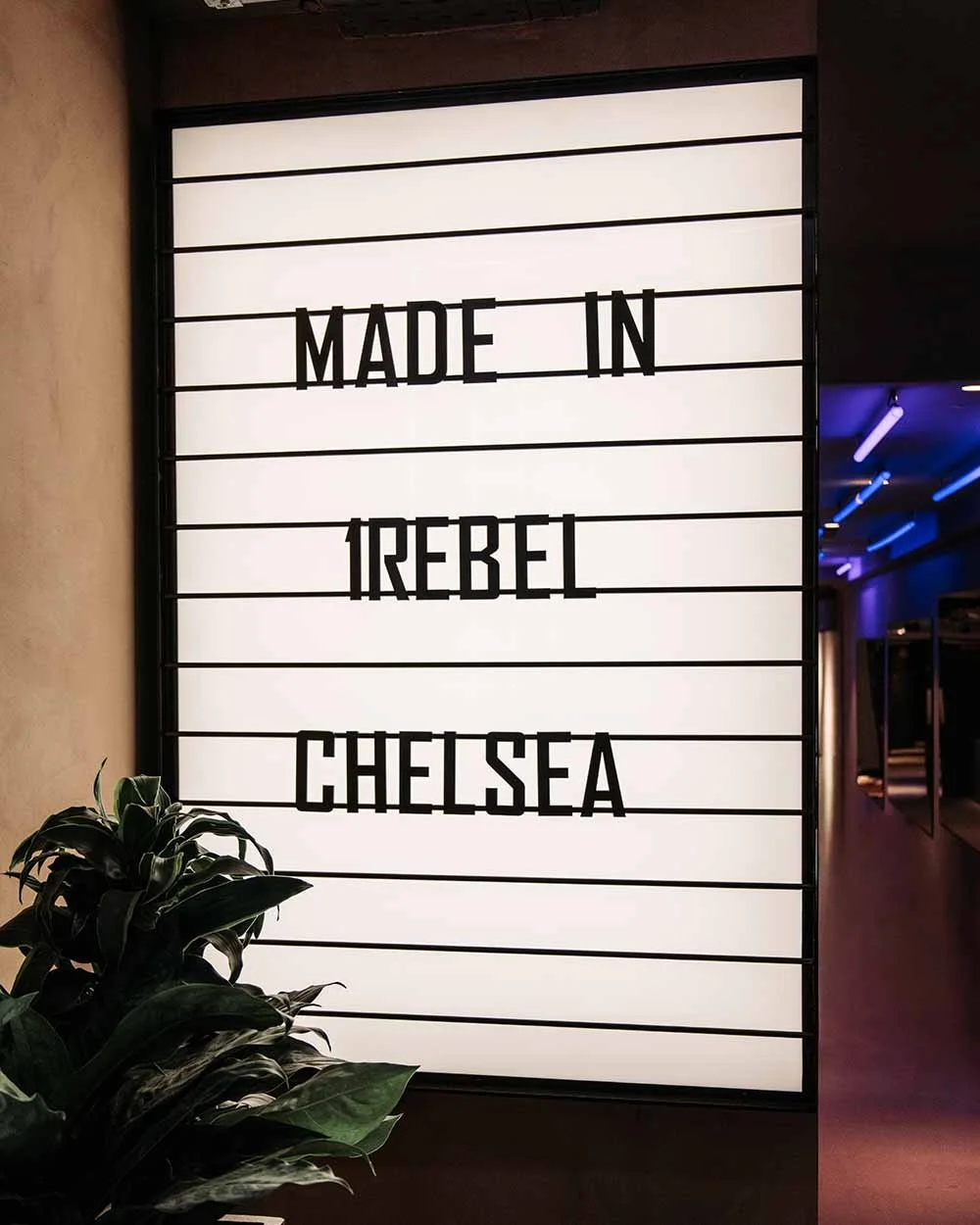 Best Things to Do After a Workout in Chelsea