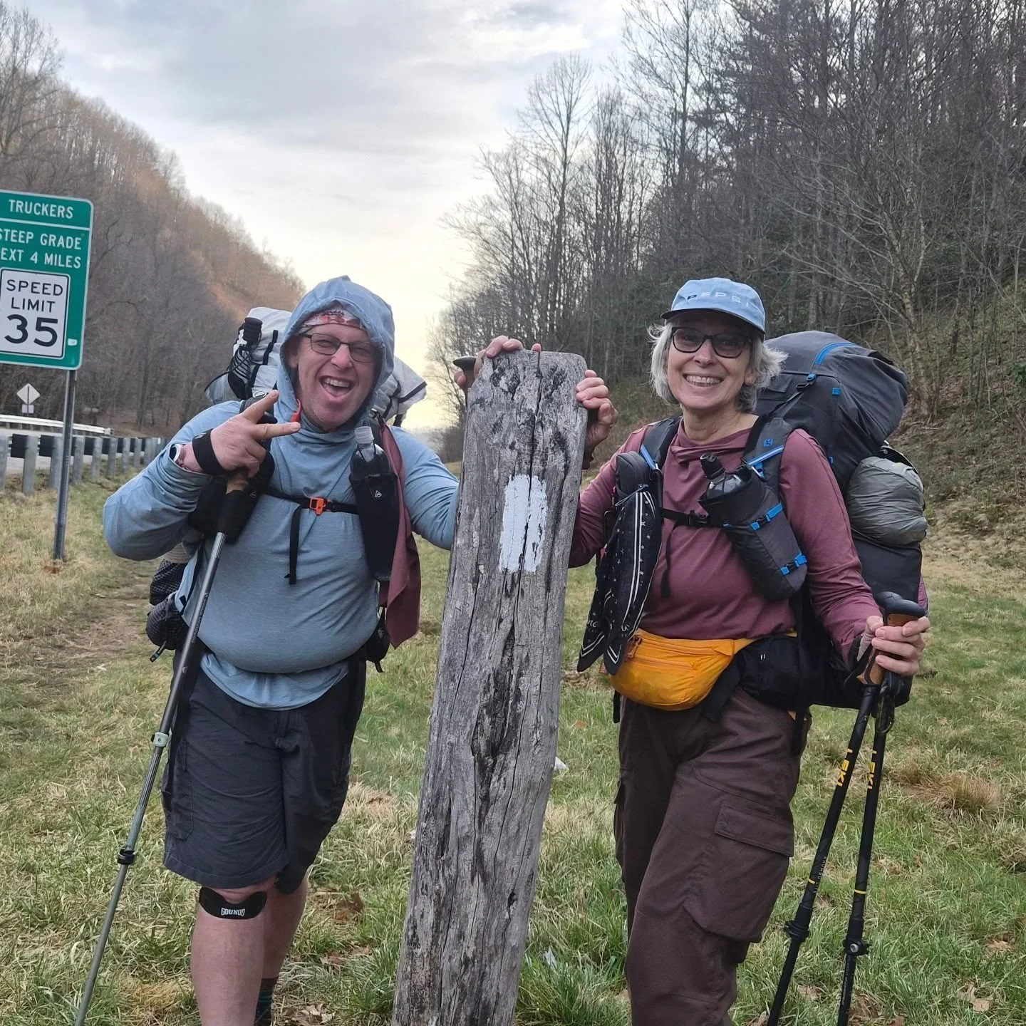 Coming and going:

To and fro,
Up and down,
Whether fast or slow
They stop in town!