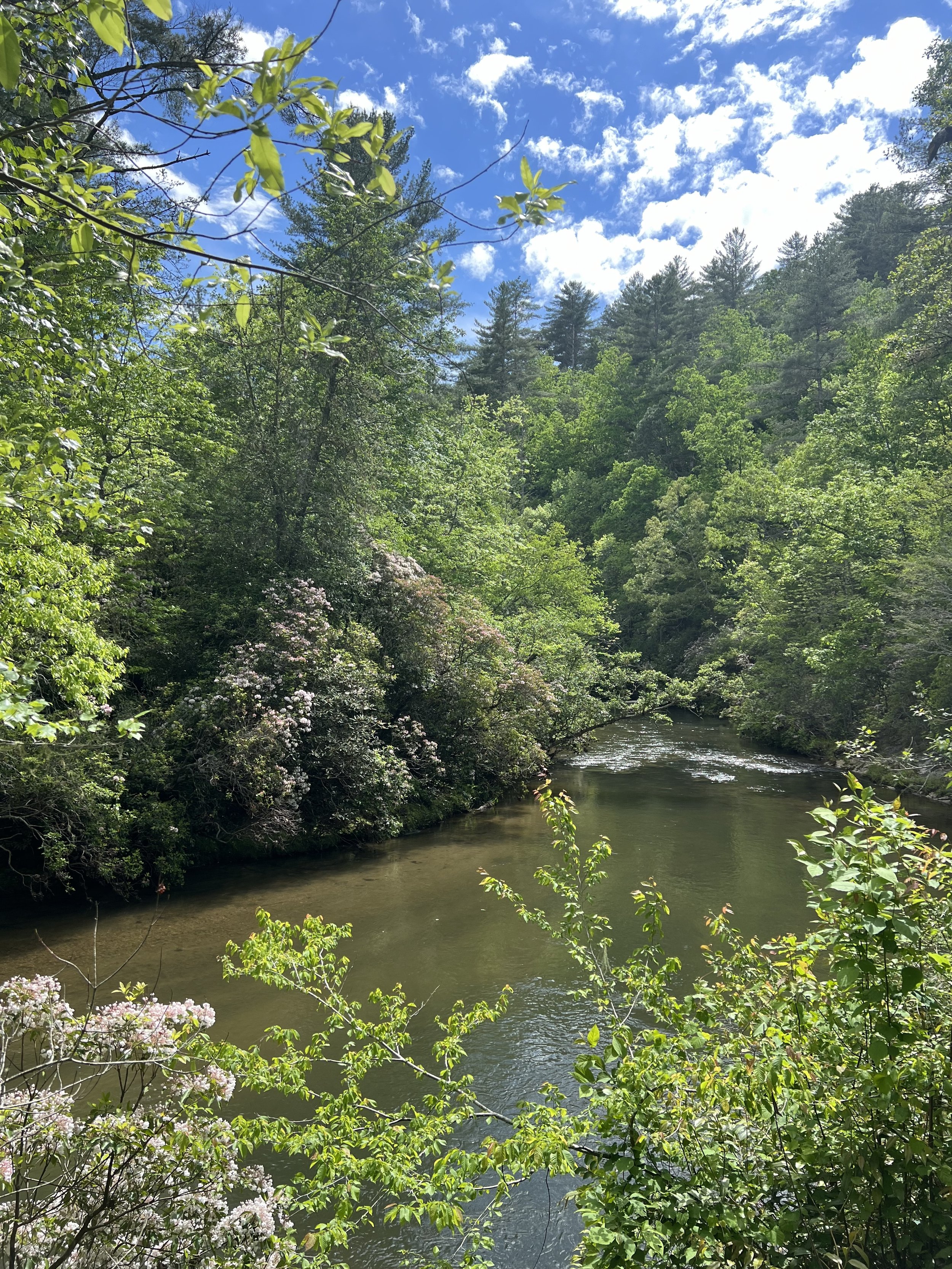 Bartram Trail, river.jpg