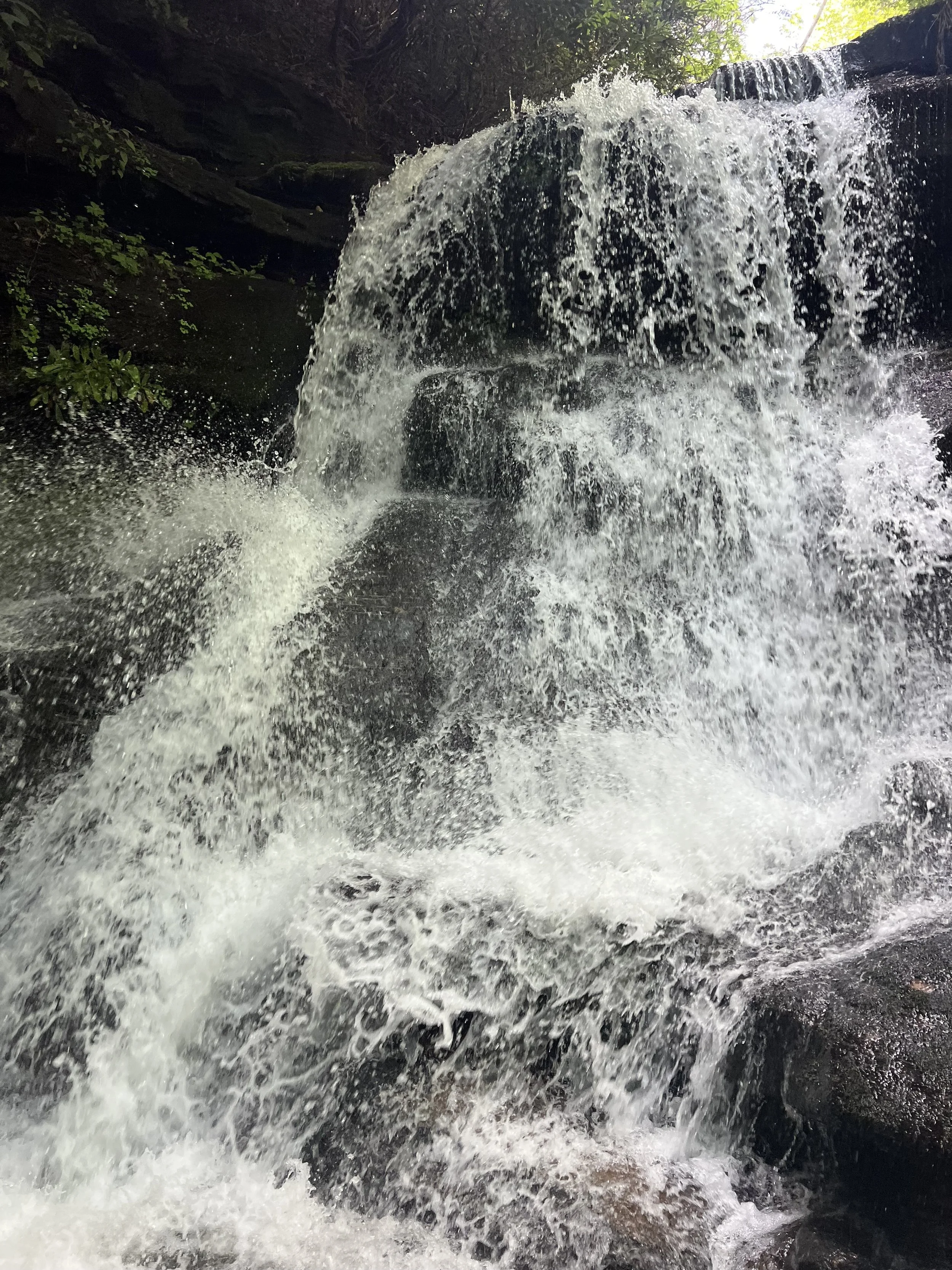 Bartram Trail, waterfall 2.jpg