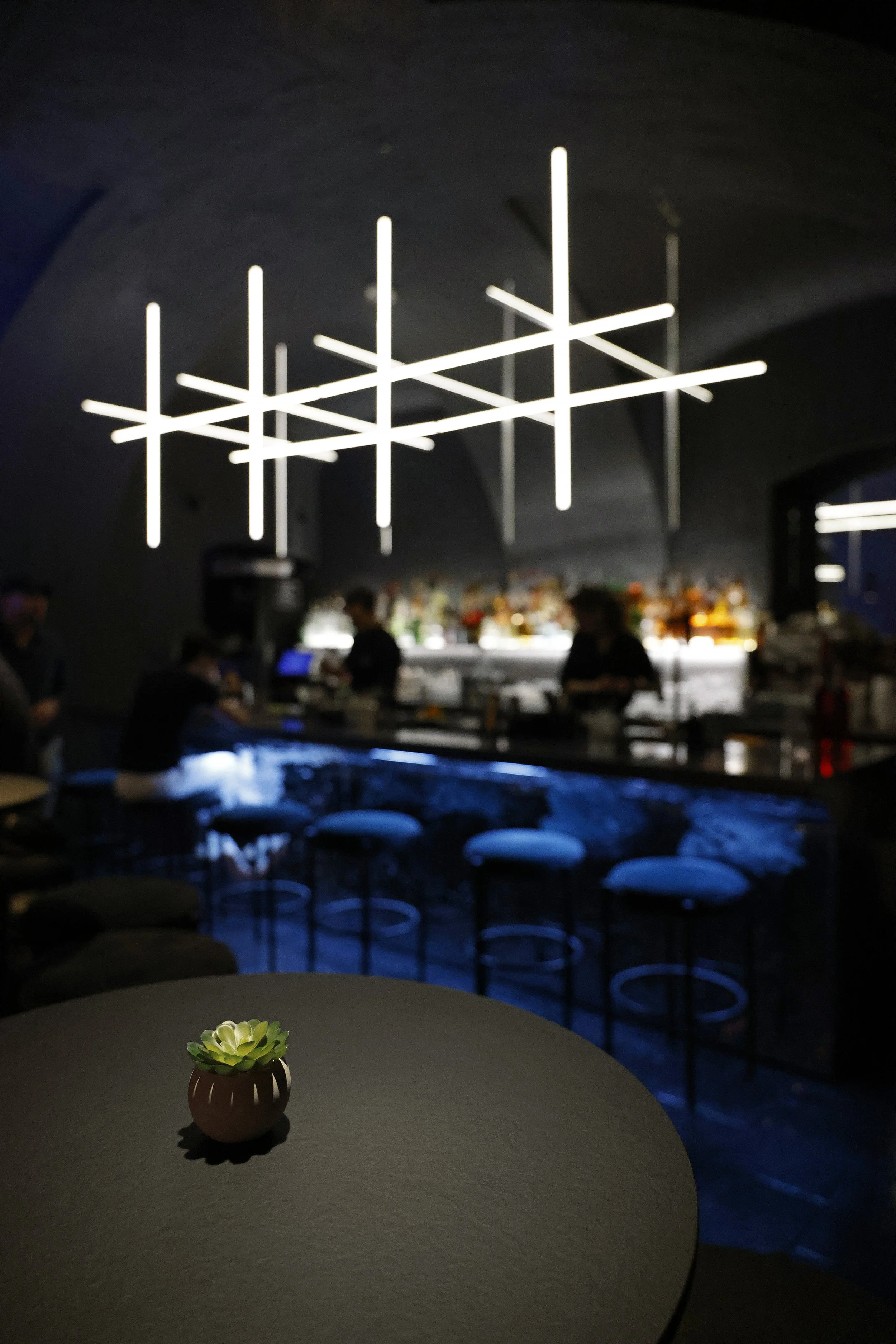 A small potted succulent plant on a dark round table in the foreground, with a dimly lit bar and modern geometric light fixture overhead in the background.