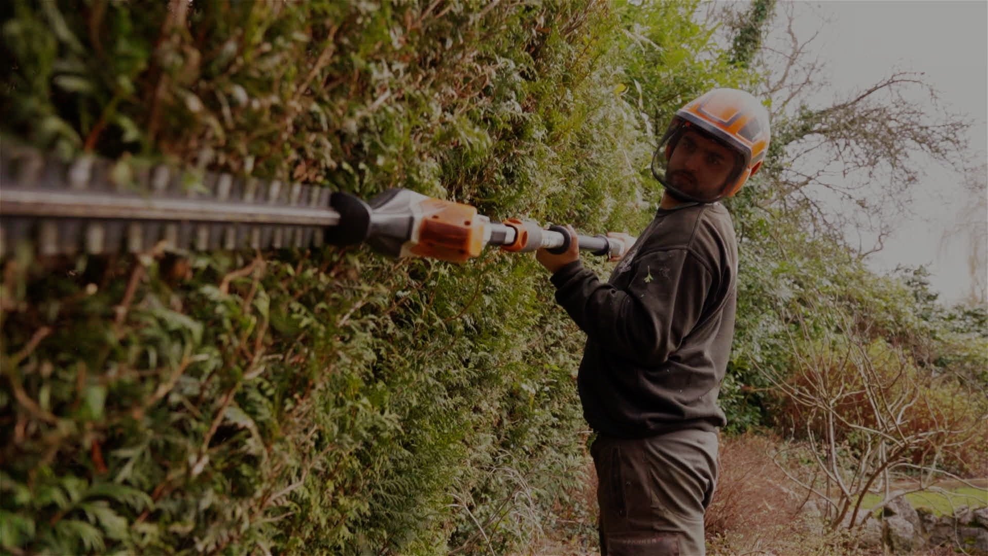 Powerful Visions - Royall Tree Services - still.jpg