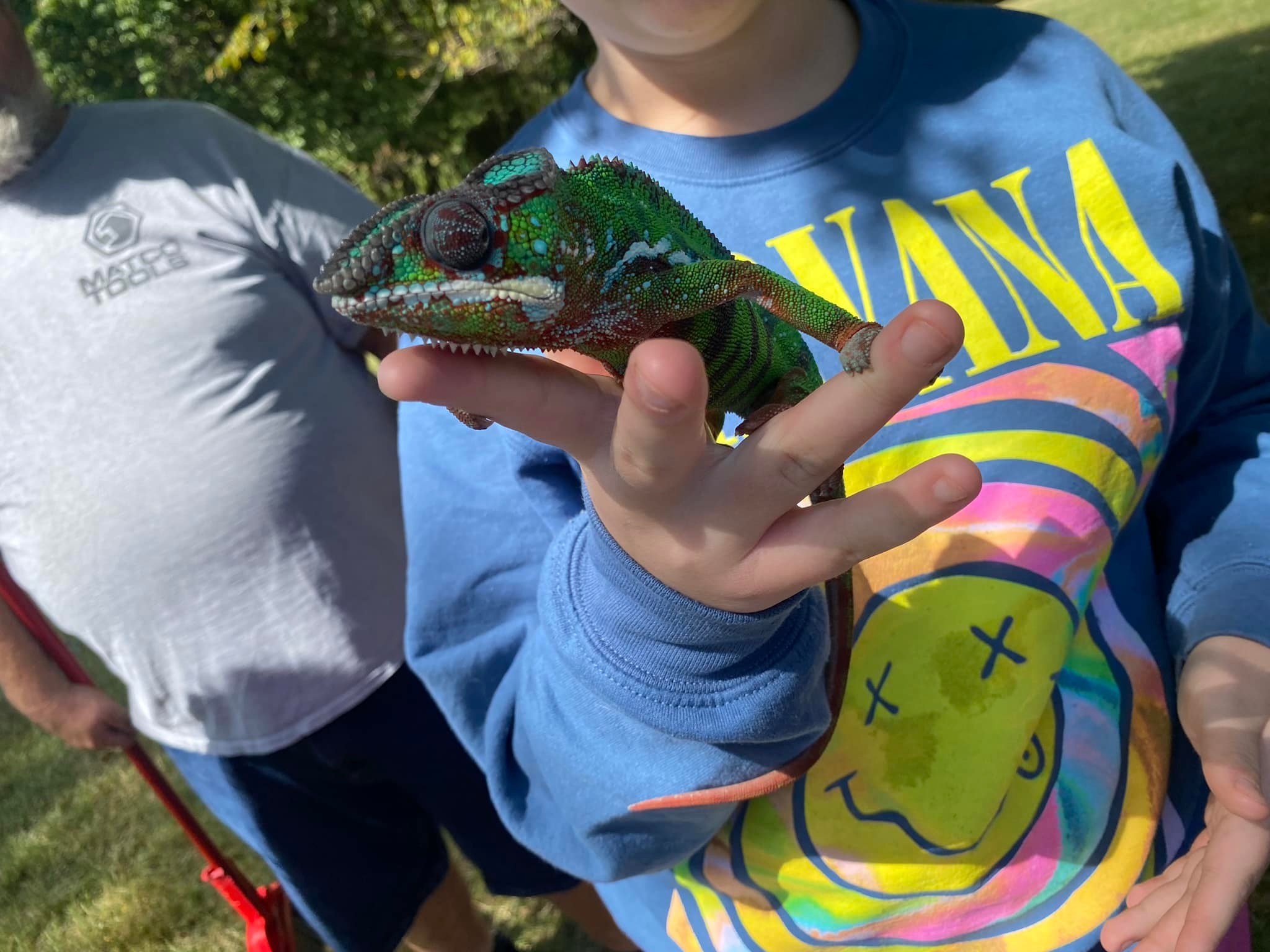 reptile bday5.jpg