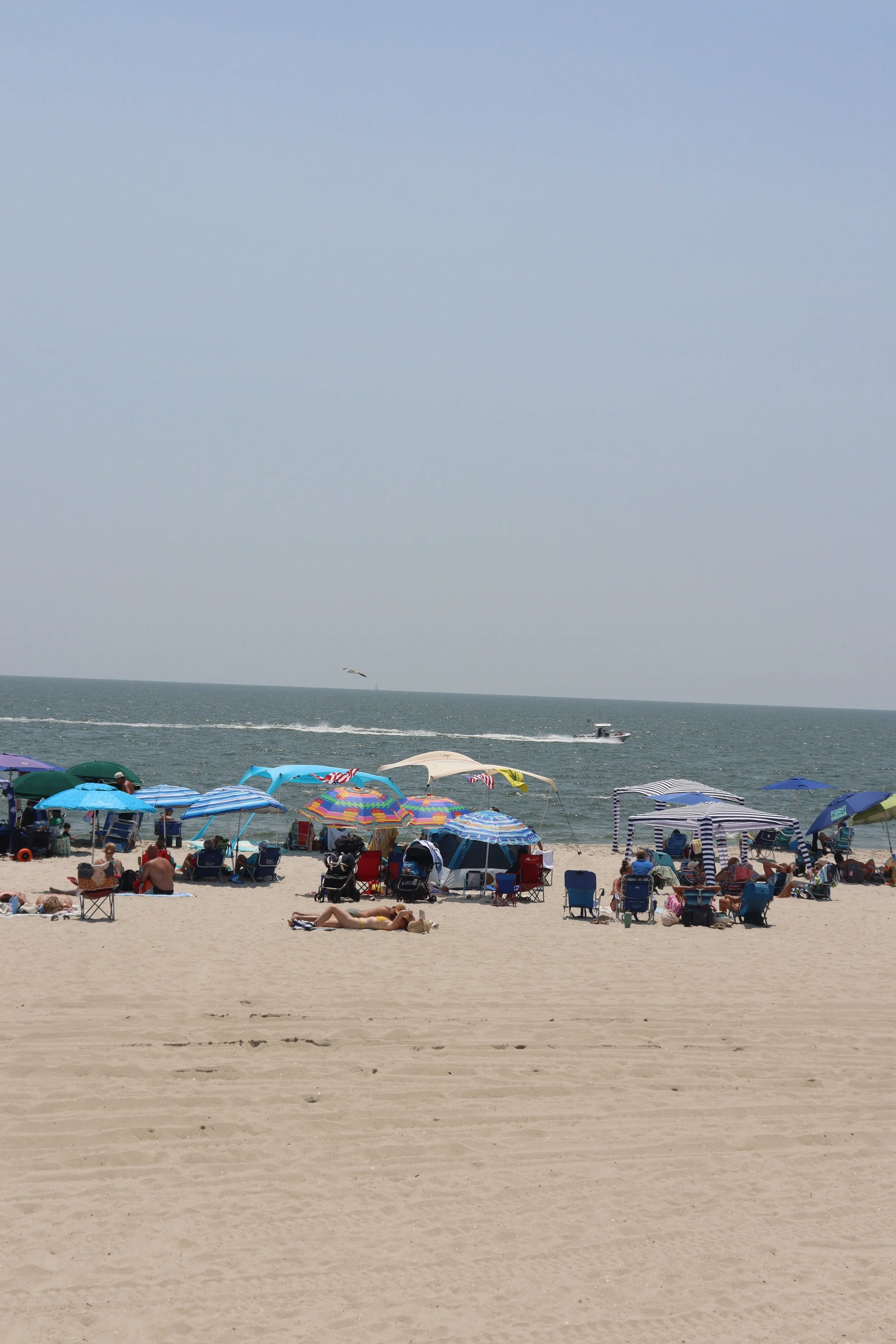 IMG_6350.JPG