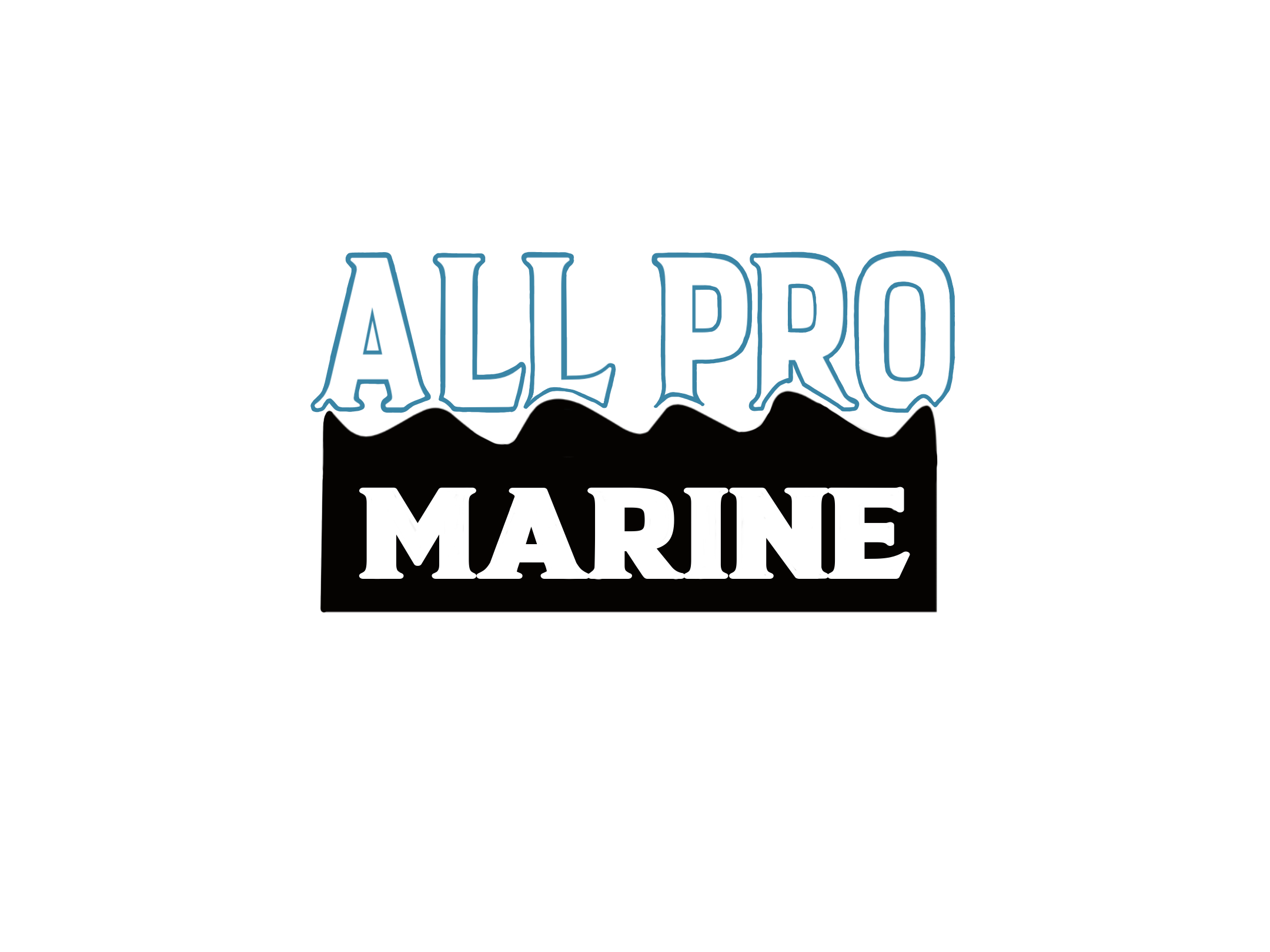 Text that reads 'ALL PRO MARINE' on a black background.