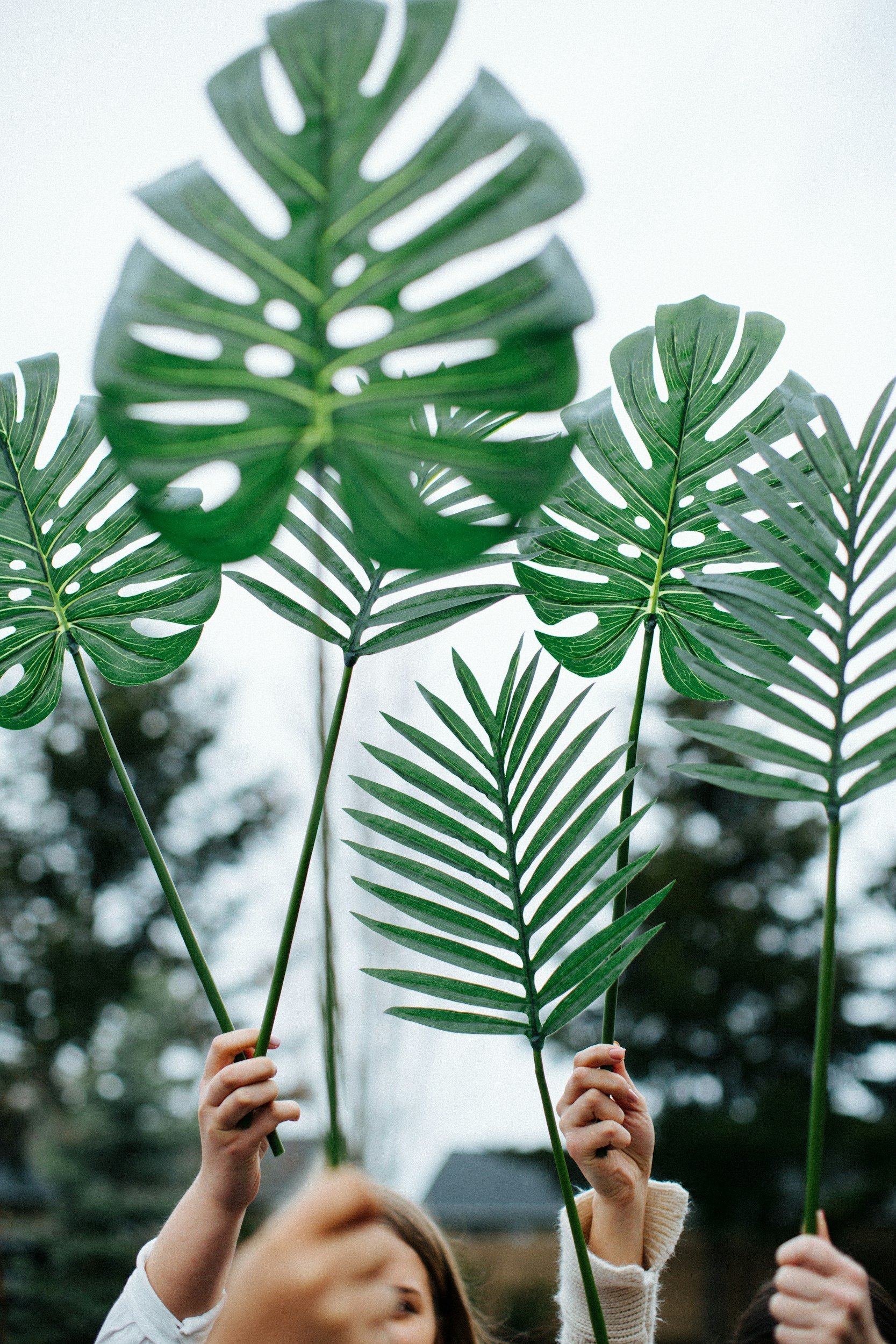 Palm Sunday