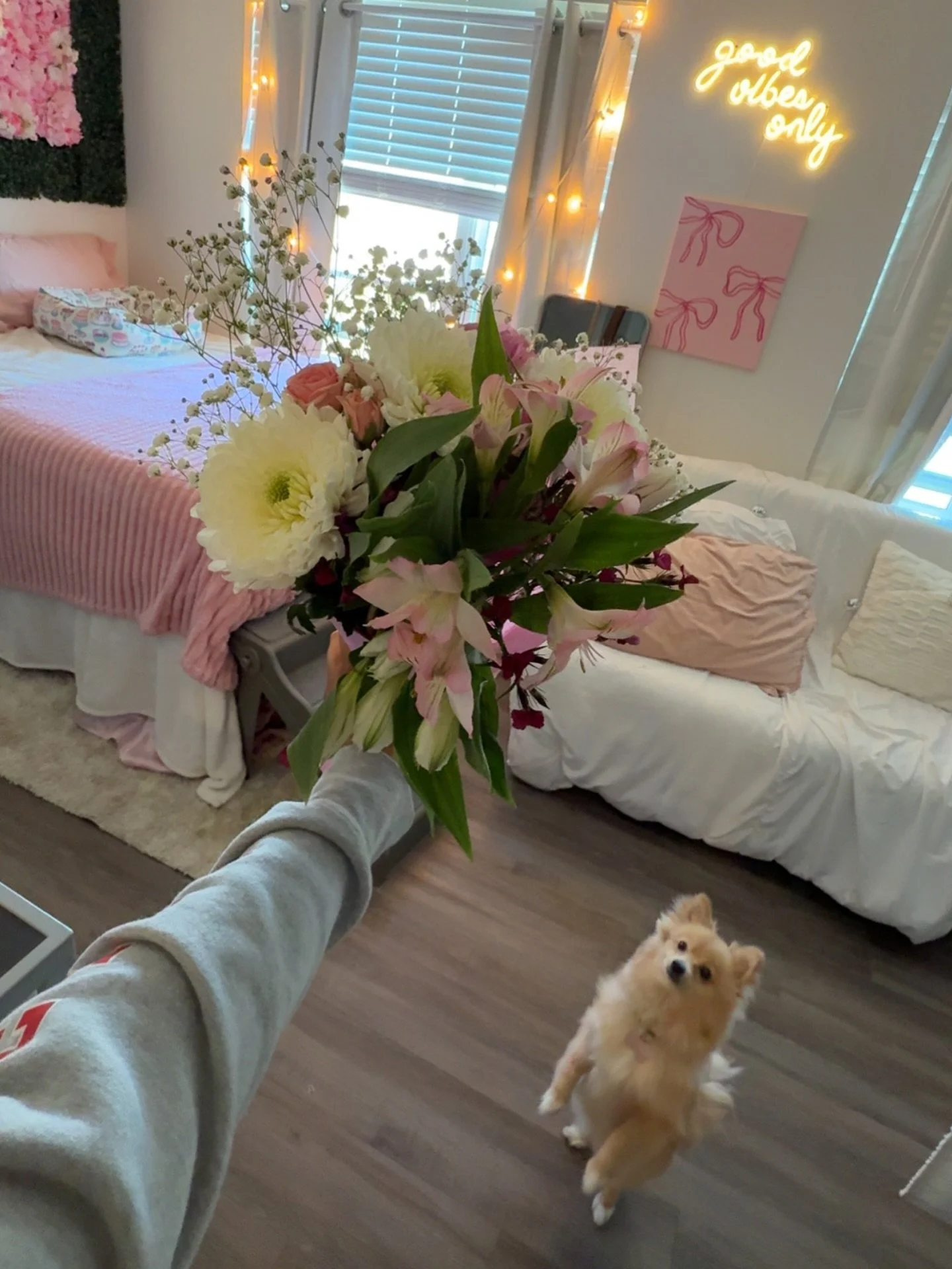 Calling all of our furry friends at The Flight!

Think you have the cutest fur baby? We want to see them! DM us a picture and a small message about why your pet deserves to be the FIRST Pet of the Month here at The Flight! Our winner receives:
&bull;