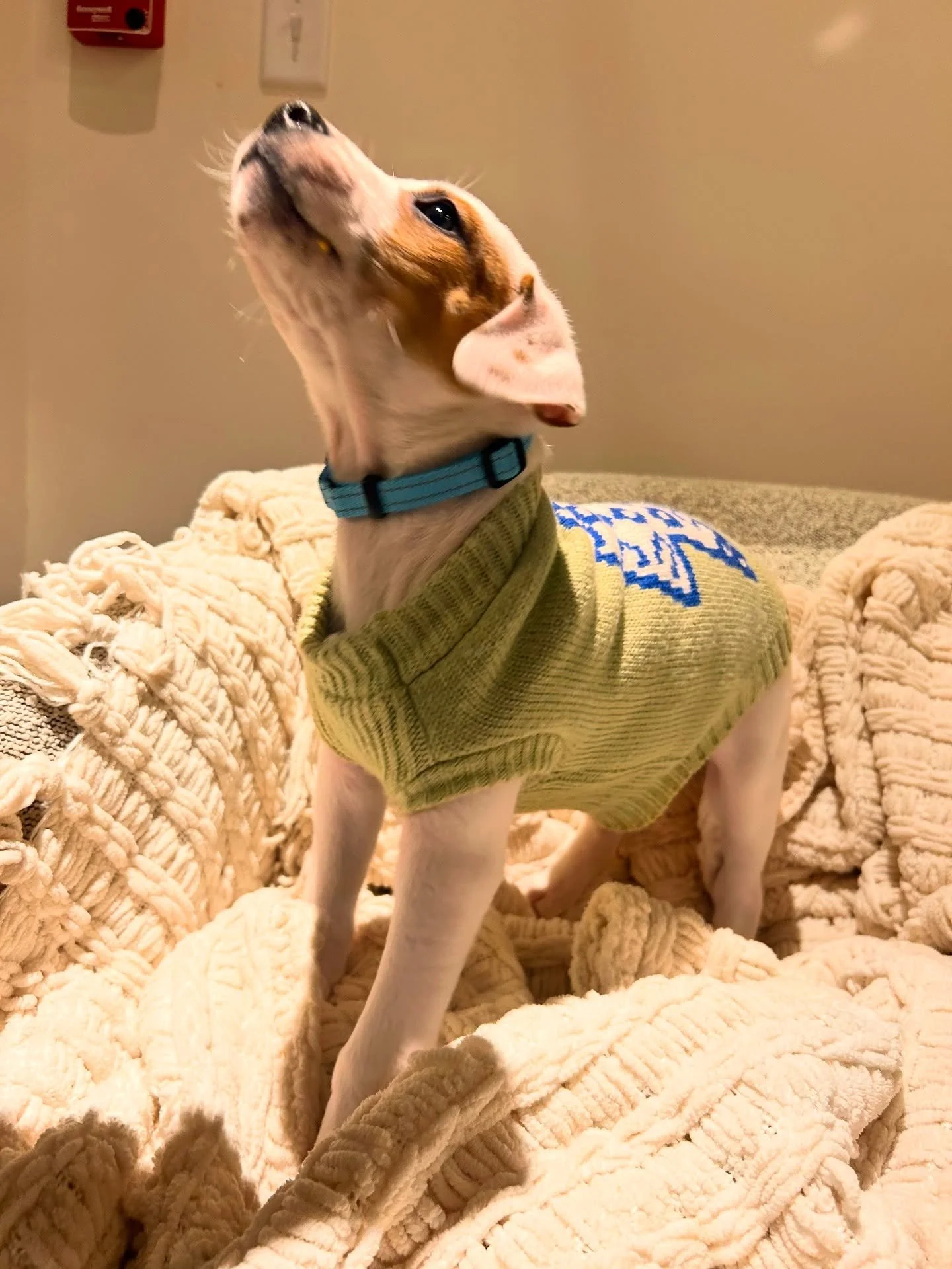 Say hello to one of our newest residents and January&rsquo;s Pet of The Month, Oakley! 🐶🐾

If you see this handsome guy, make sure to stop and tell him he is the goodest boy! Congrats Oakley! 🤍 

Interested in entering in your pet for POTM? Make s