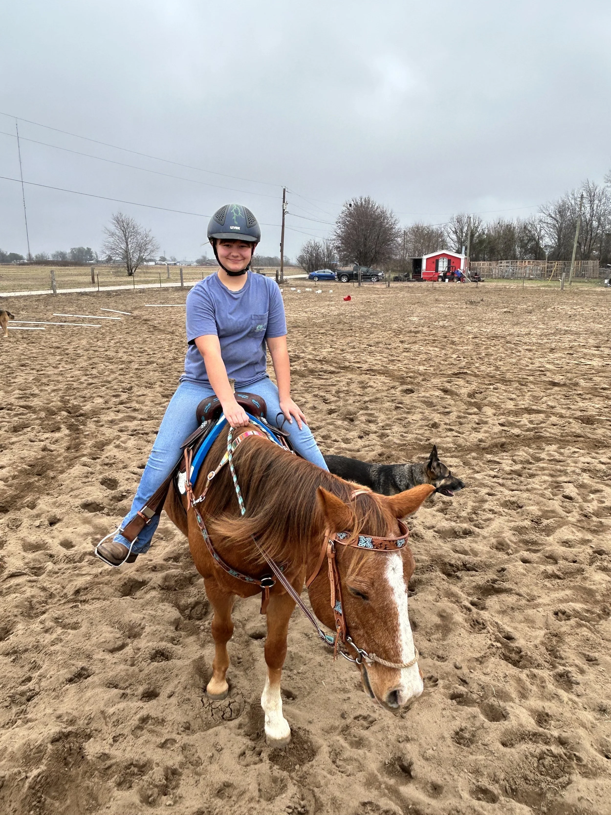 Saddle Club 4 sessions a month