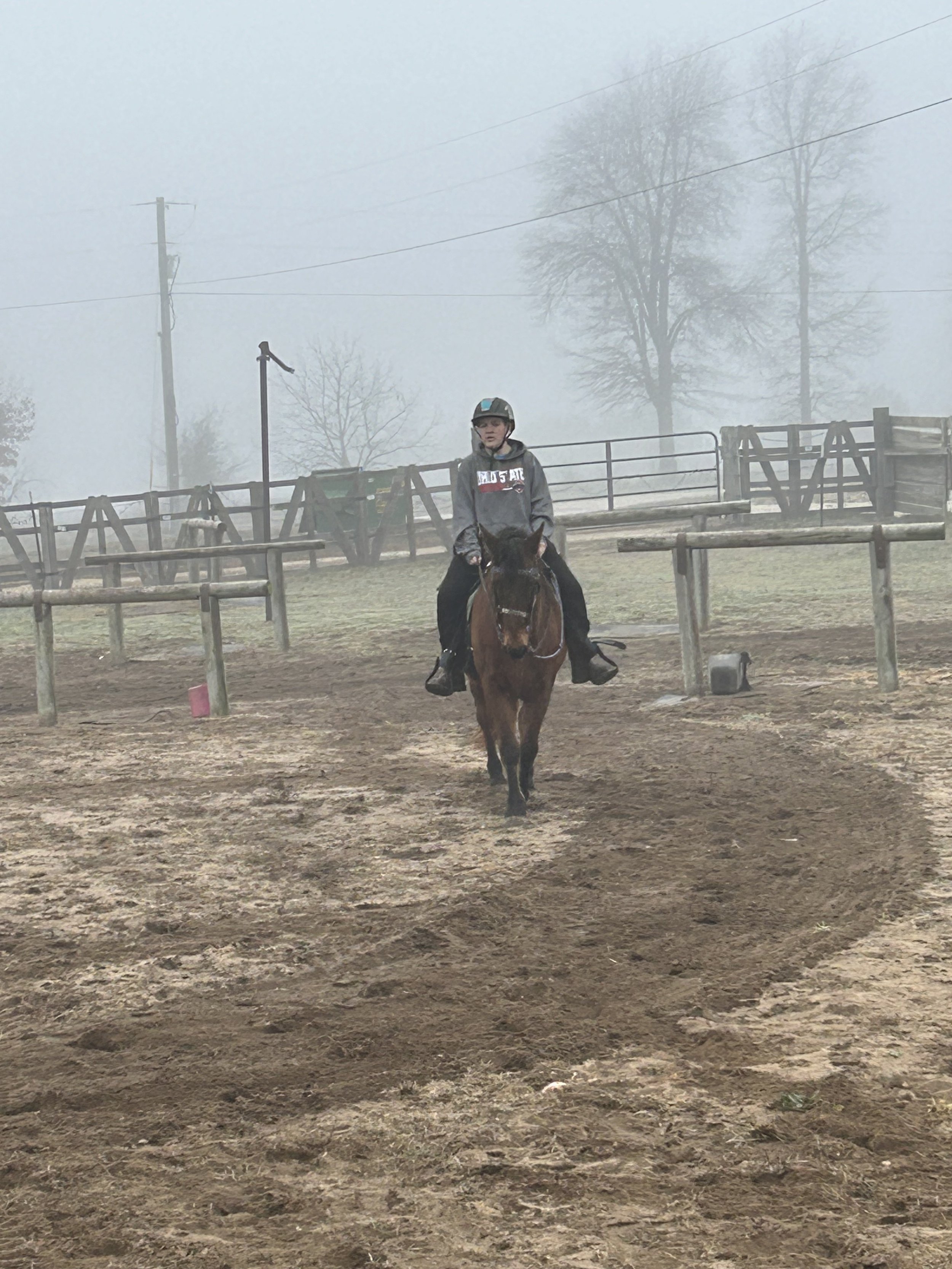 Level 1 Overnight Horse Life skills camp