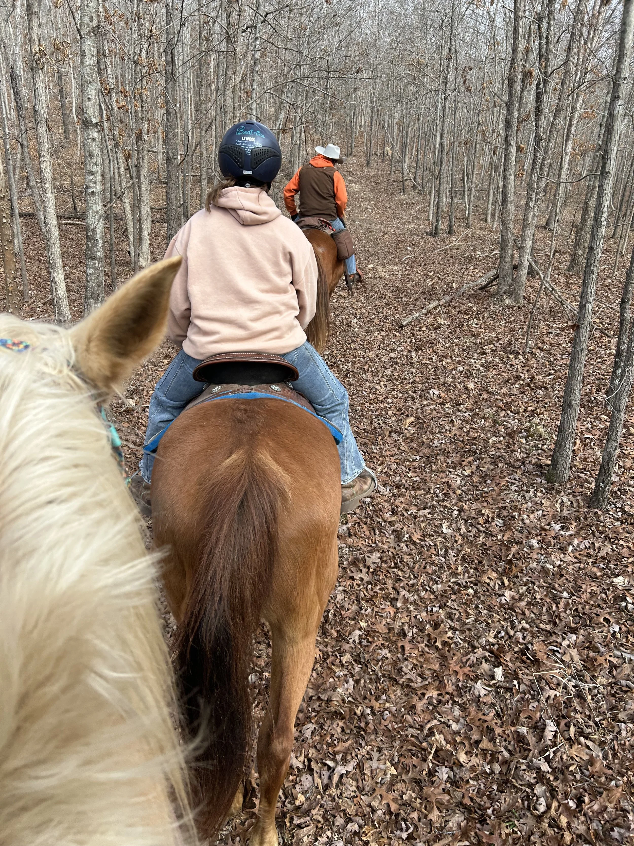 Day Camp 7 am to 6 pm