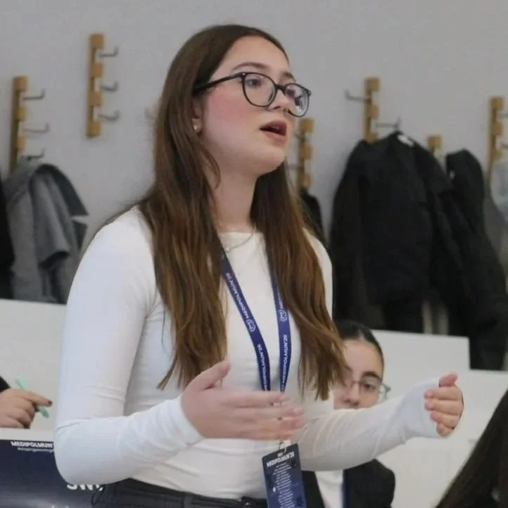 How to Survive Your First Model UN