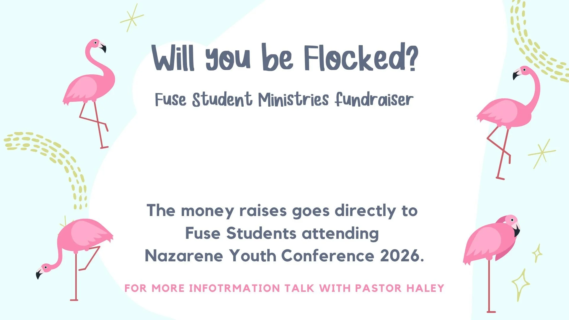 Fuse Flocking Fundraiser