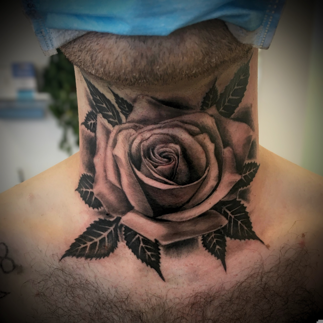 Untitled design 10.png