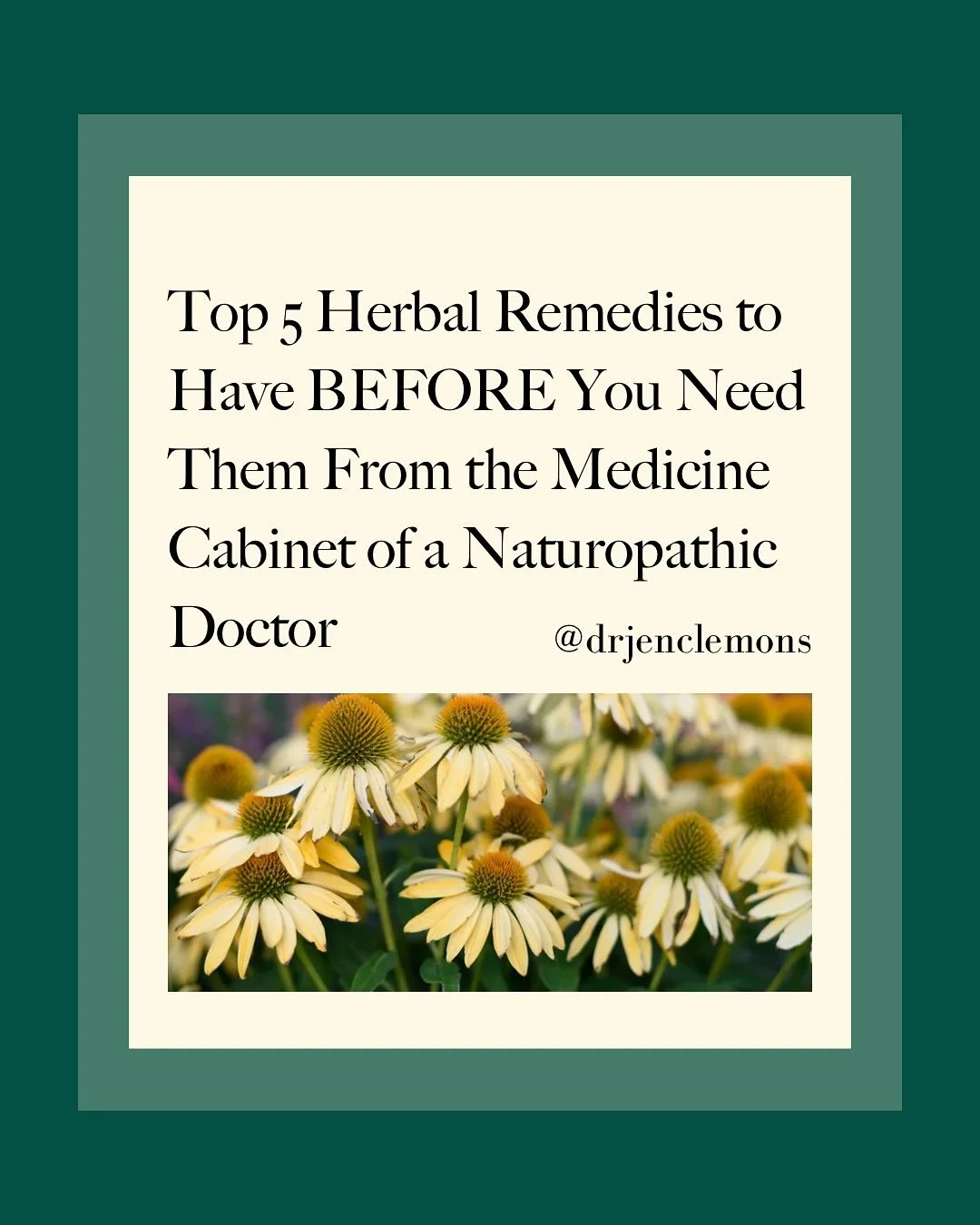 Prevention is my favorite way to practice!⁣
Second best is being prepared ahead of time.⁣
𝗜𝘁&rsquo;𝘀 𝗶𝗺𝗽𝗼𝗿𝘁𝗮𝗻𝘁 𝗳𝗼𝗿 𝘆𝗼𝘂 𝘁𝗼 𝗸𝗻𝗼𝘄: there are truly safe, effective herbal remedies you can have on hand BEFORE you need them. ⁣
Start