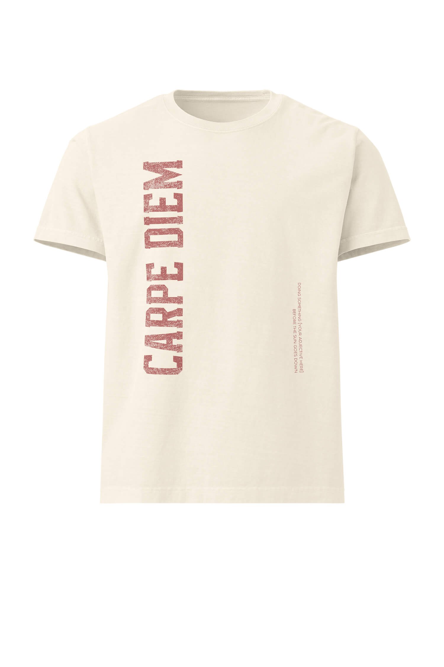 unisex-oversized-garment-dyed-t-shirt-vintage-white-front-carpe-diem.jpg