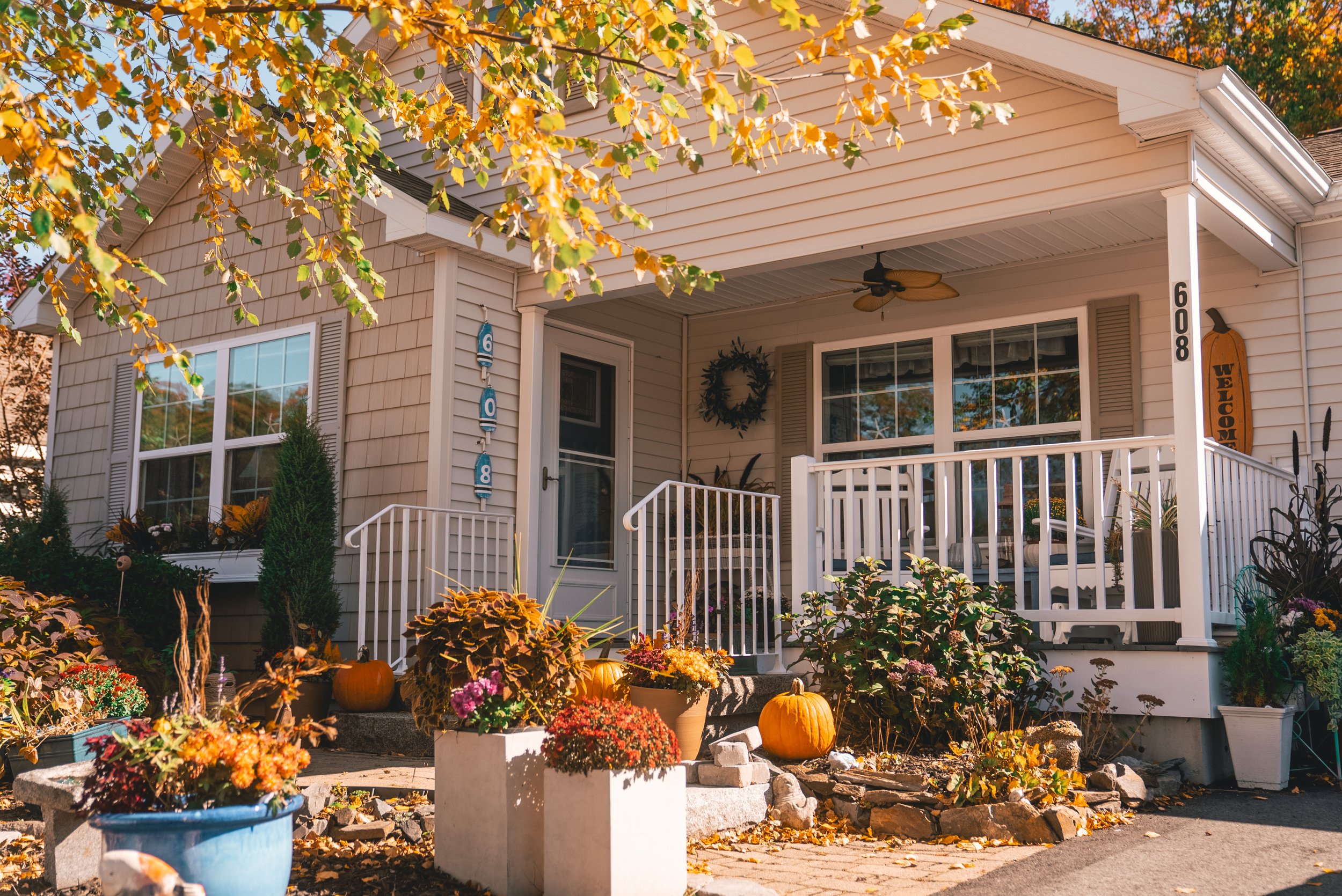 DSC07971.jpg