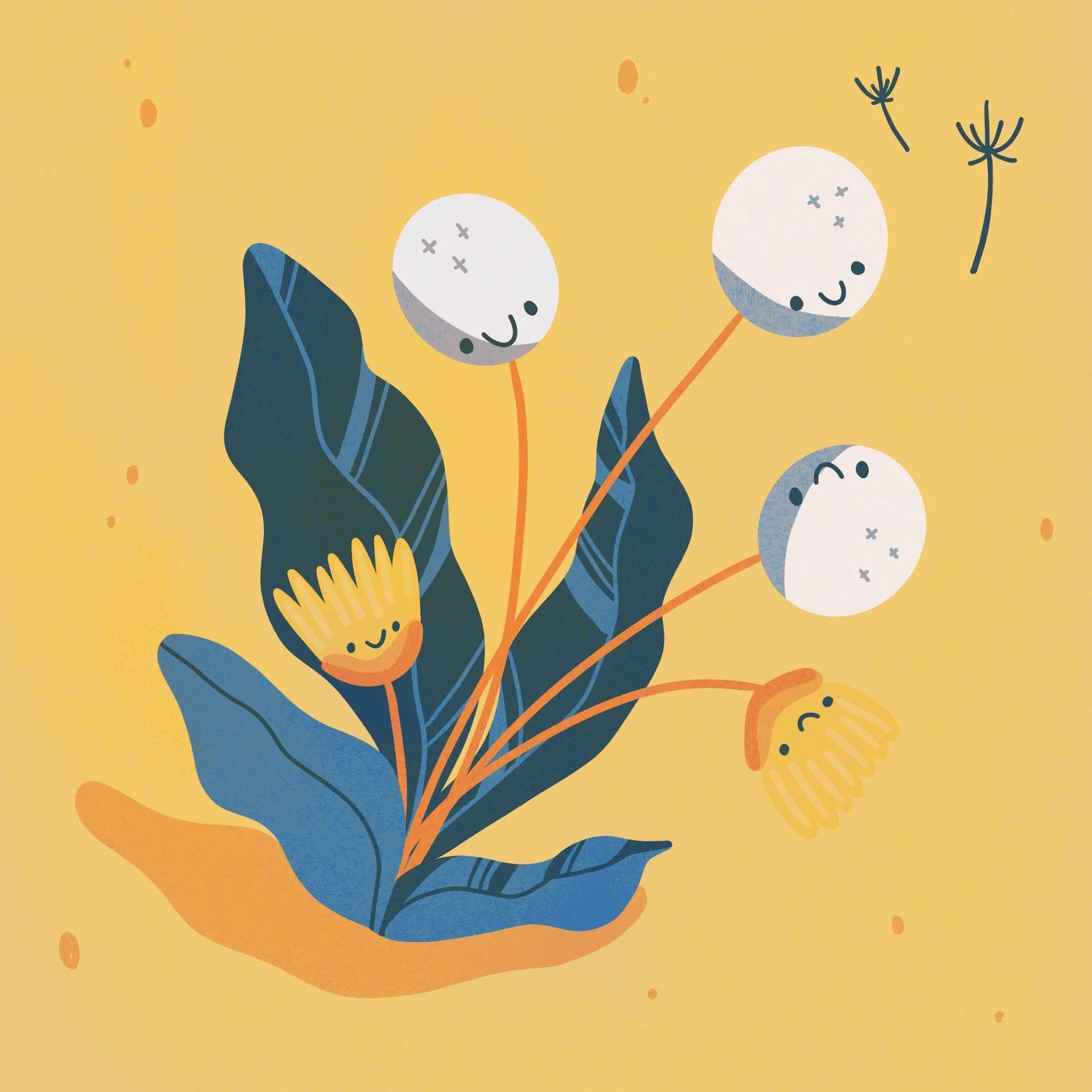 Dandelion Illustration