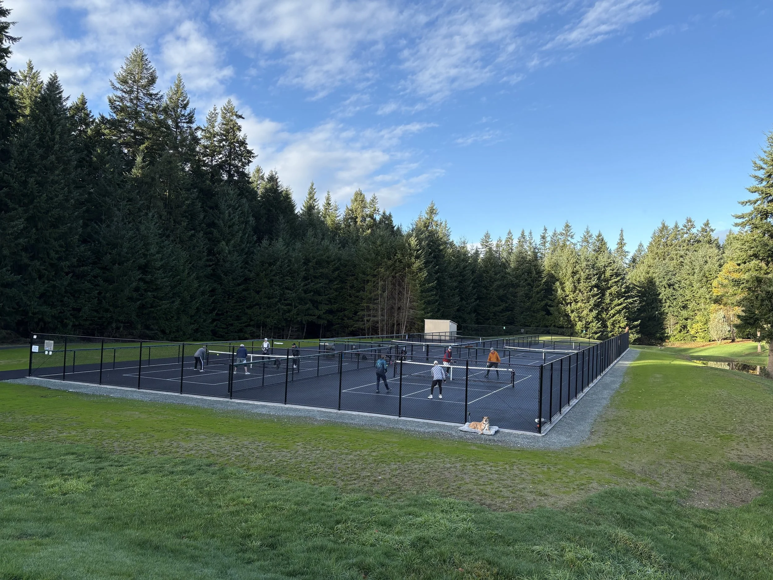 New Courts