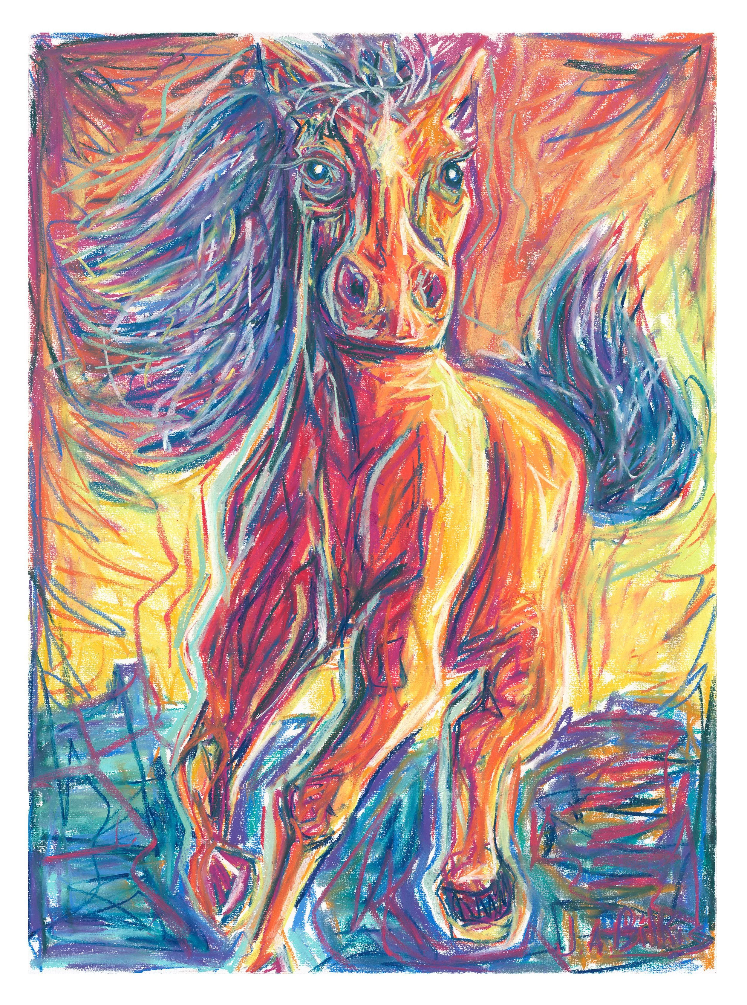 Horse 1.jpg