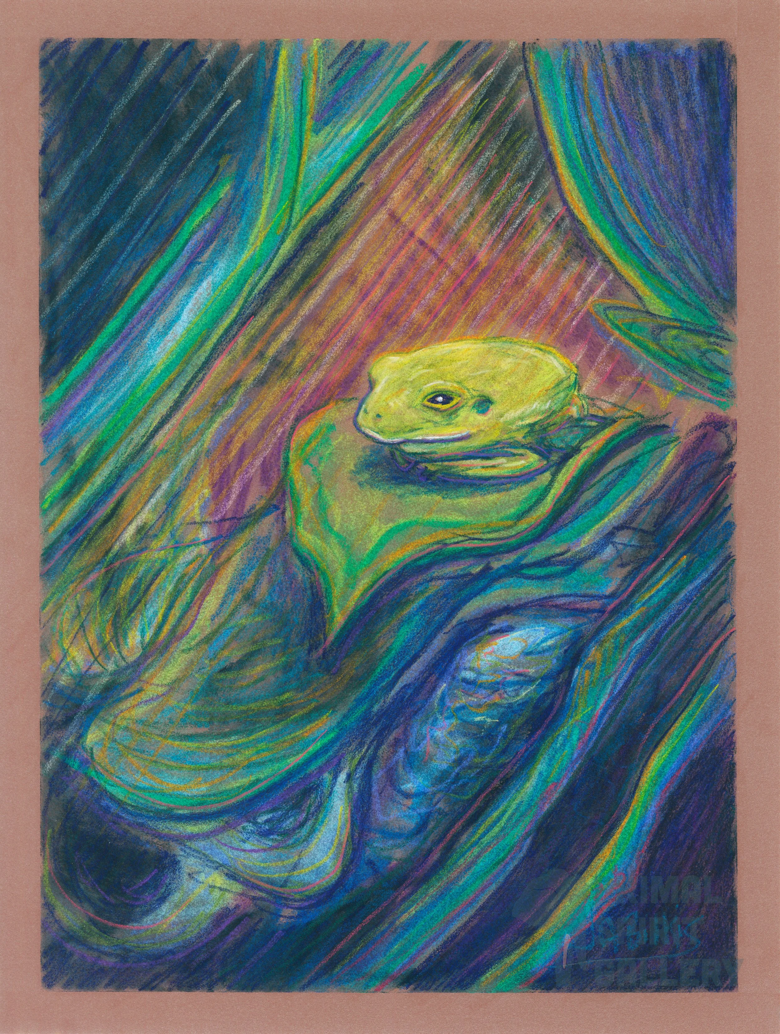Frog 03.jpg