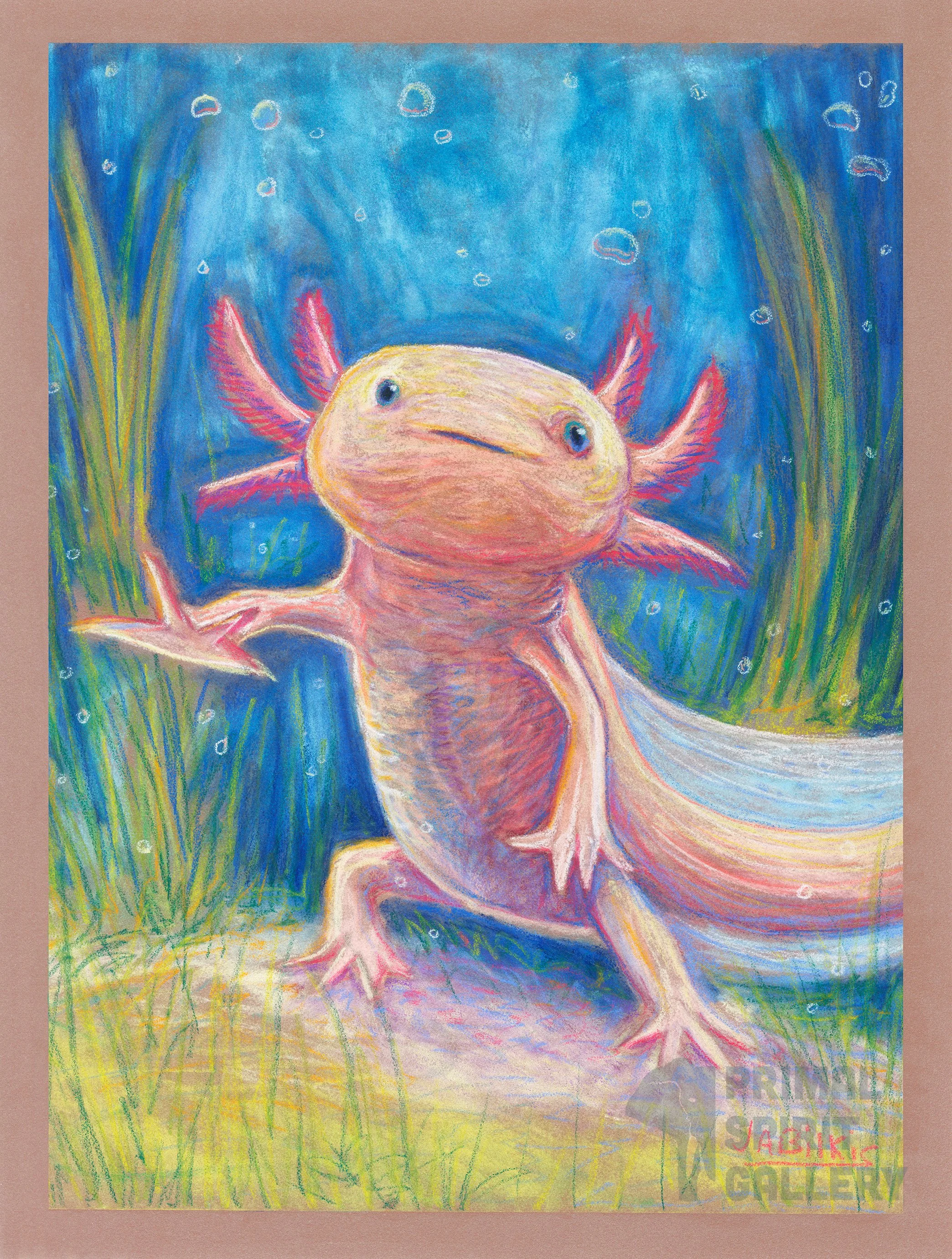 Axolotl.jpg
