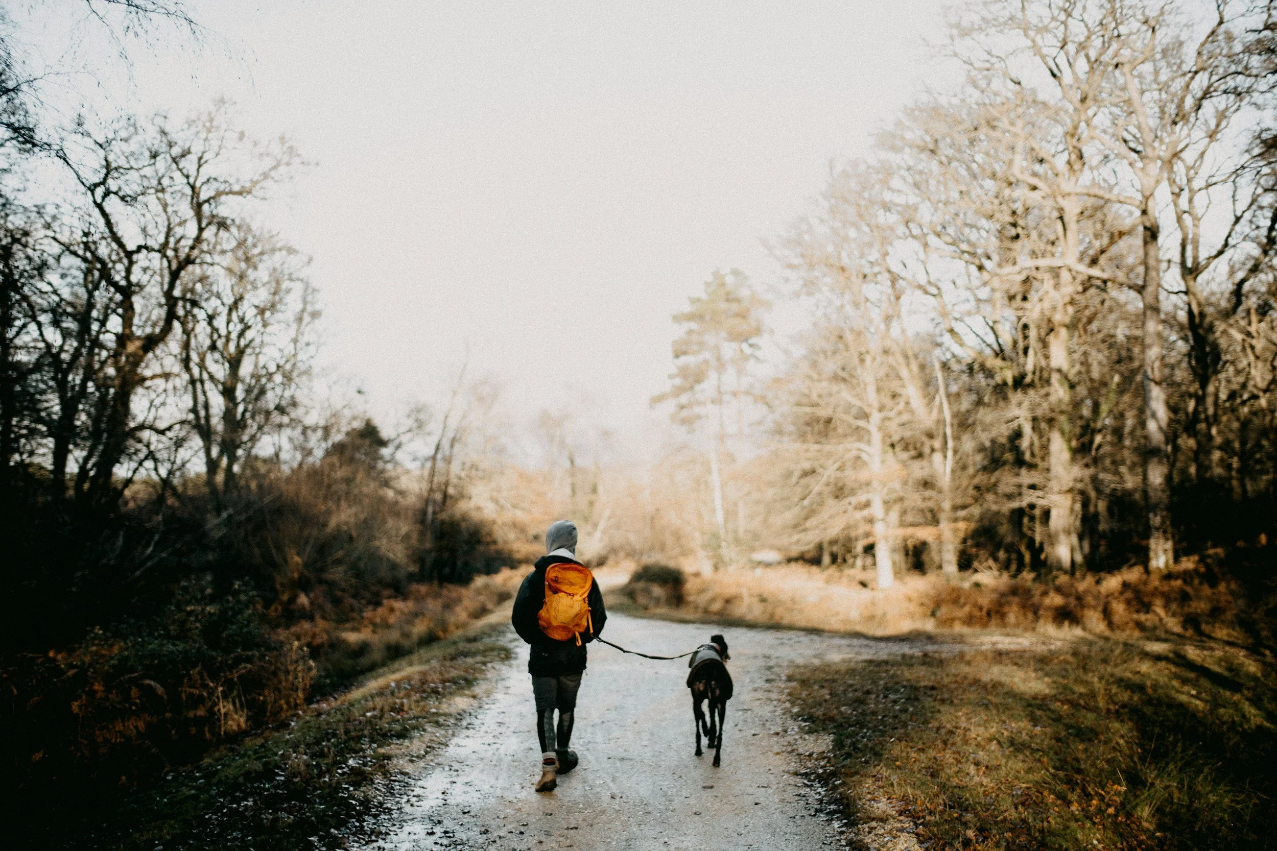 Patient walking her dog