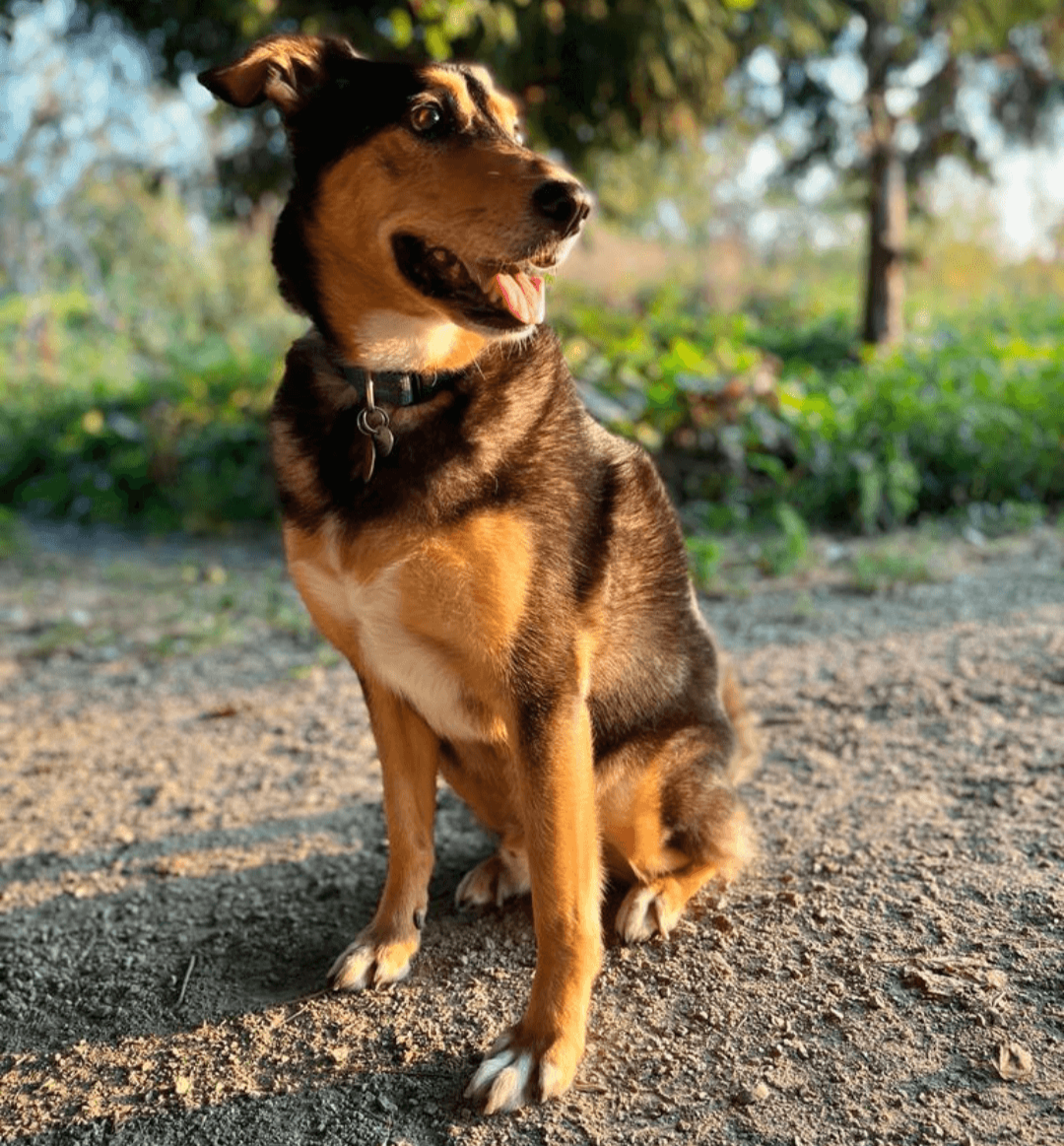Kinesphere Therapy physiotherapy and clinical Pilates clinic on Commercial Street, East Vancouver