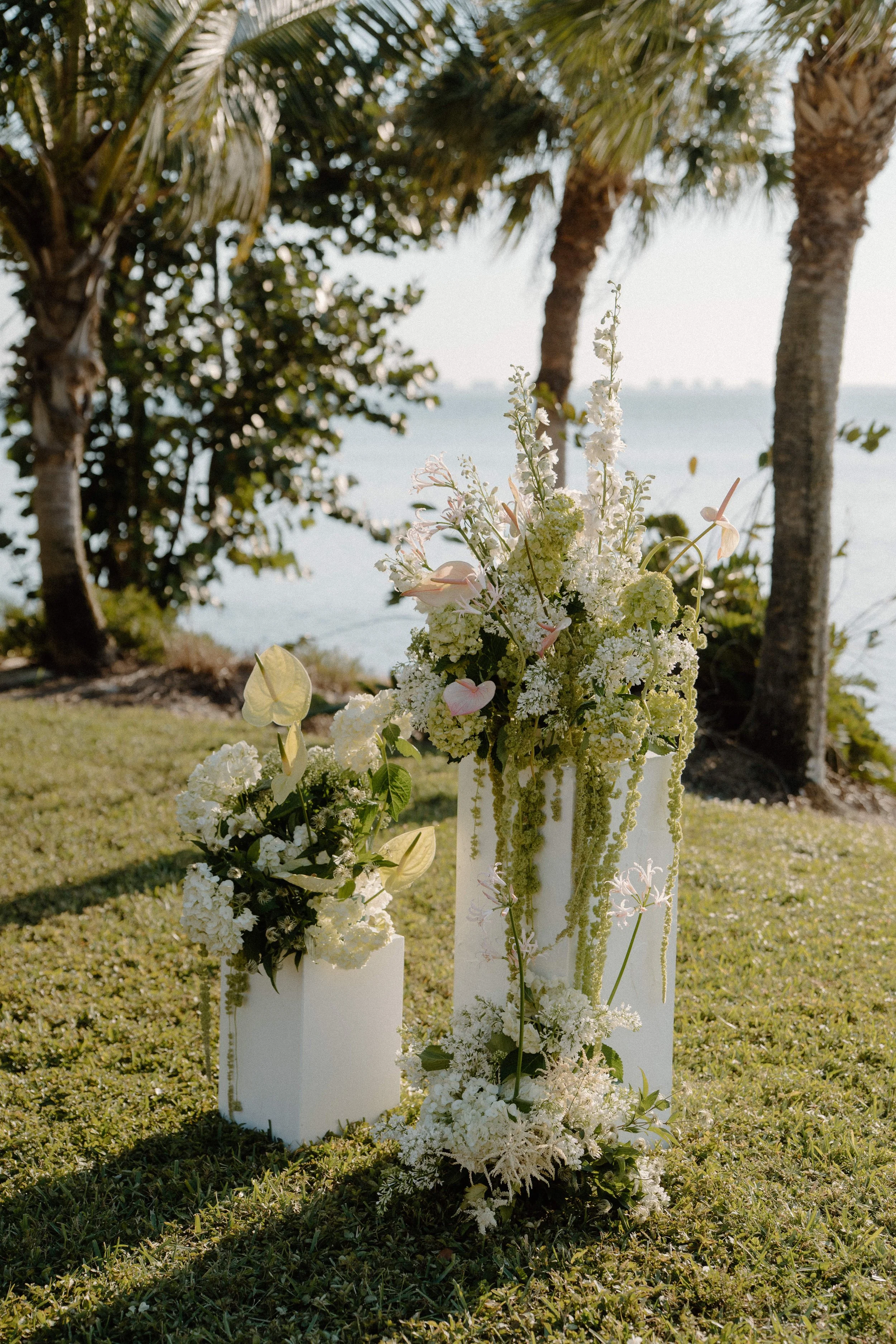 Keegan_Hannah_Sarasota_Florida_Wedding_Photography_Audrey_Darke_Photography-52.jpg