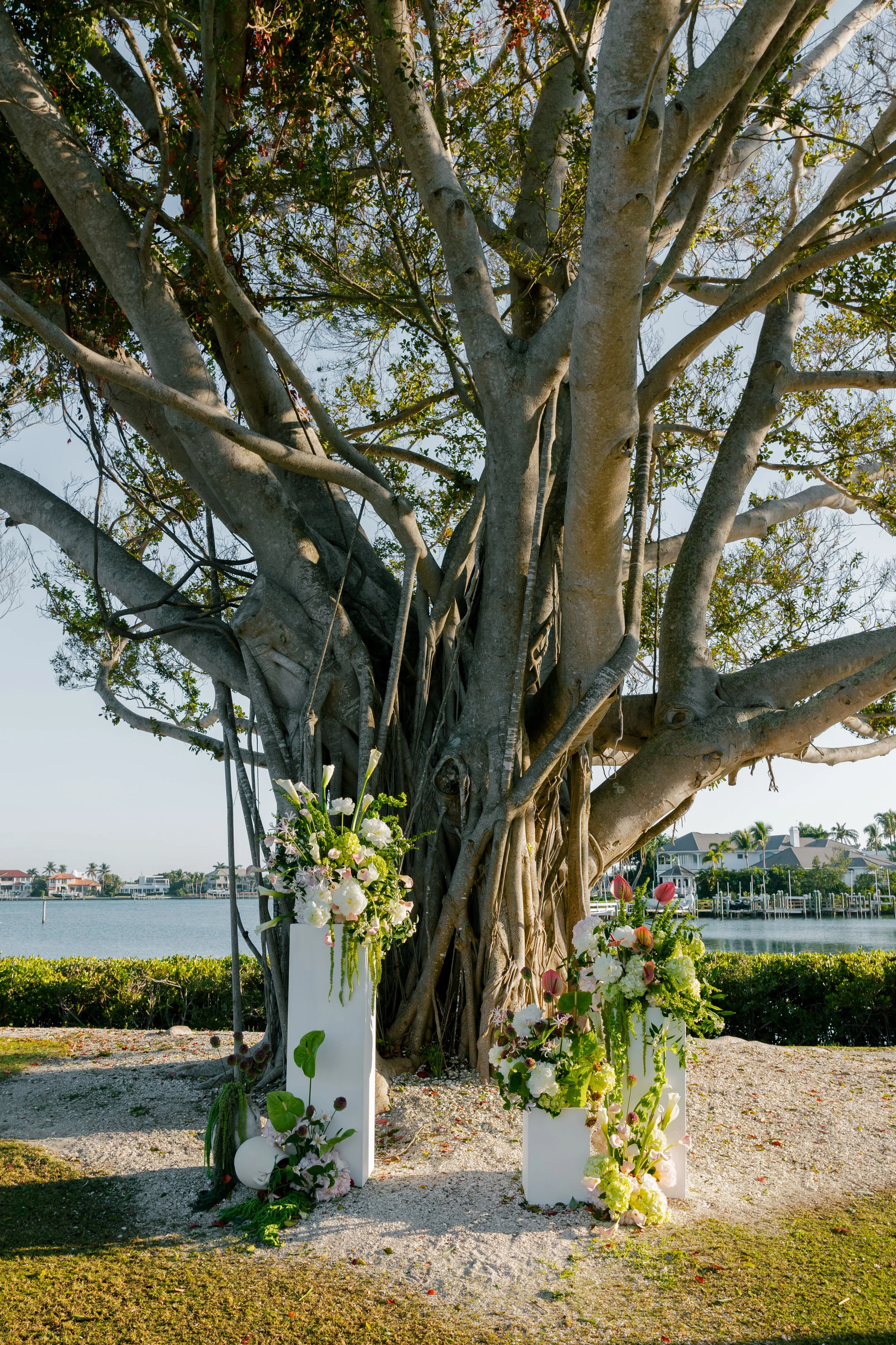 Kim + Mike Sneak Peek-98.jpg