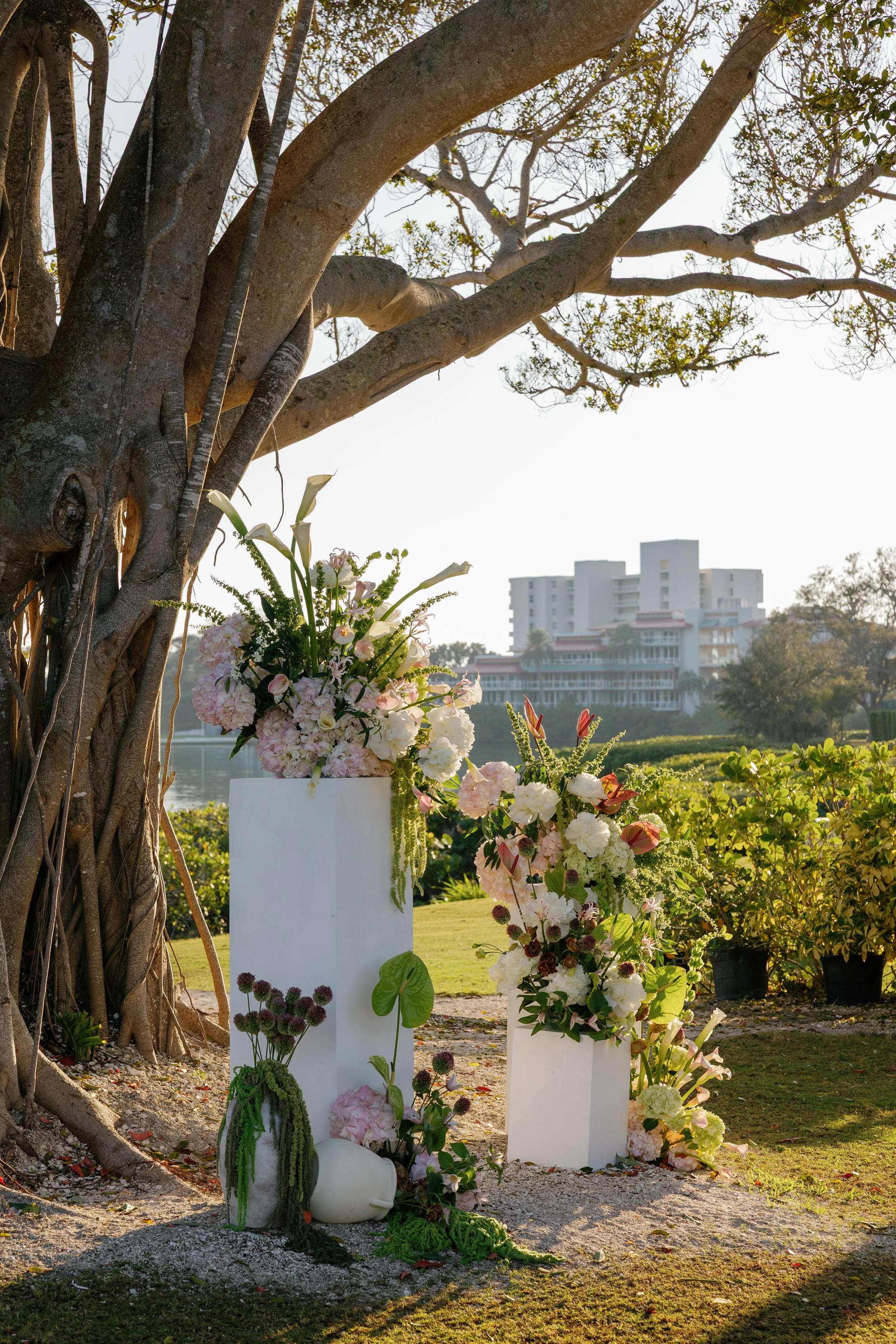 Kim + Mike Sneak Peek-105.jpg