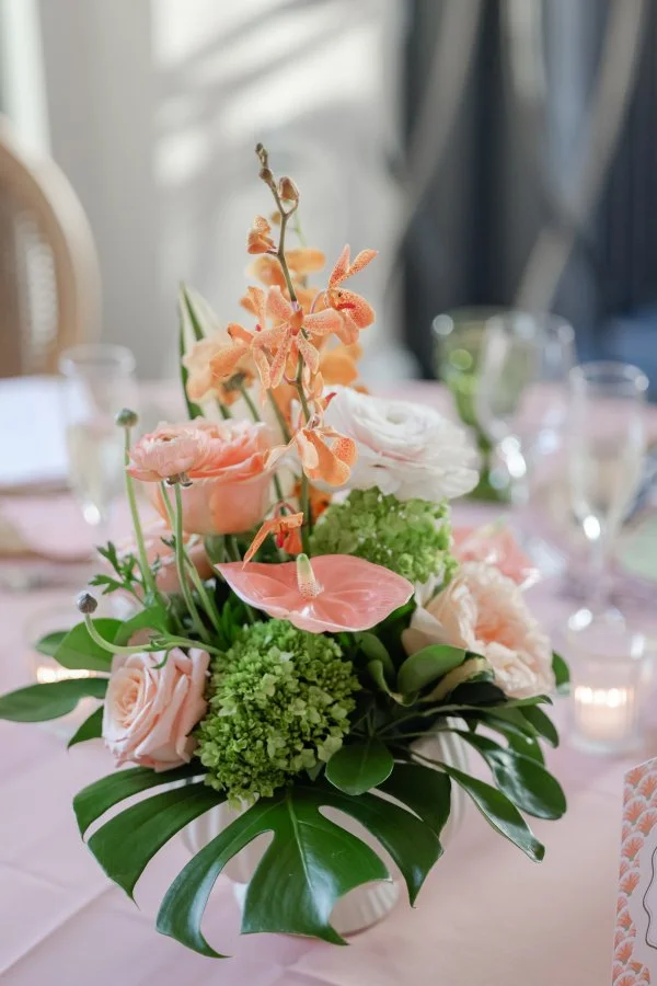 Lifelong_photography_studio_MA-1037.jpg